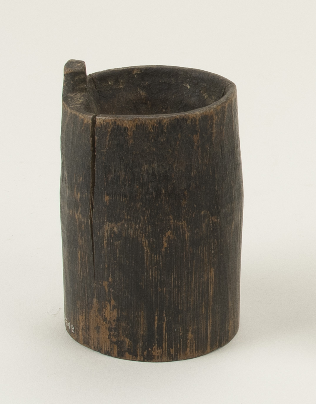 Front view (c) Field Museum of Natural History - CC BY-NC 4.0