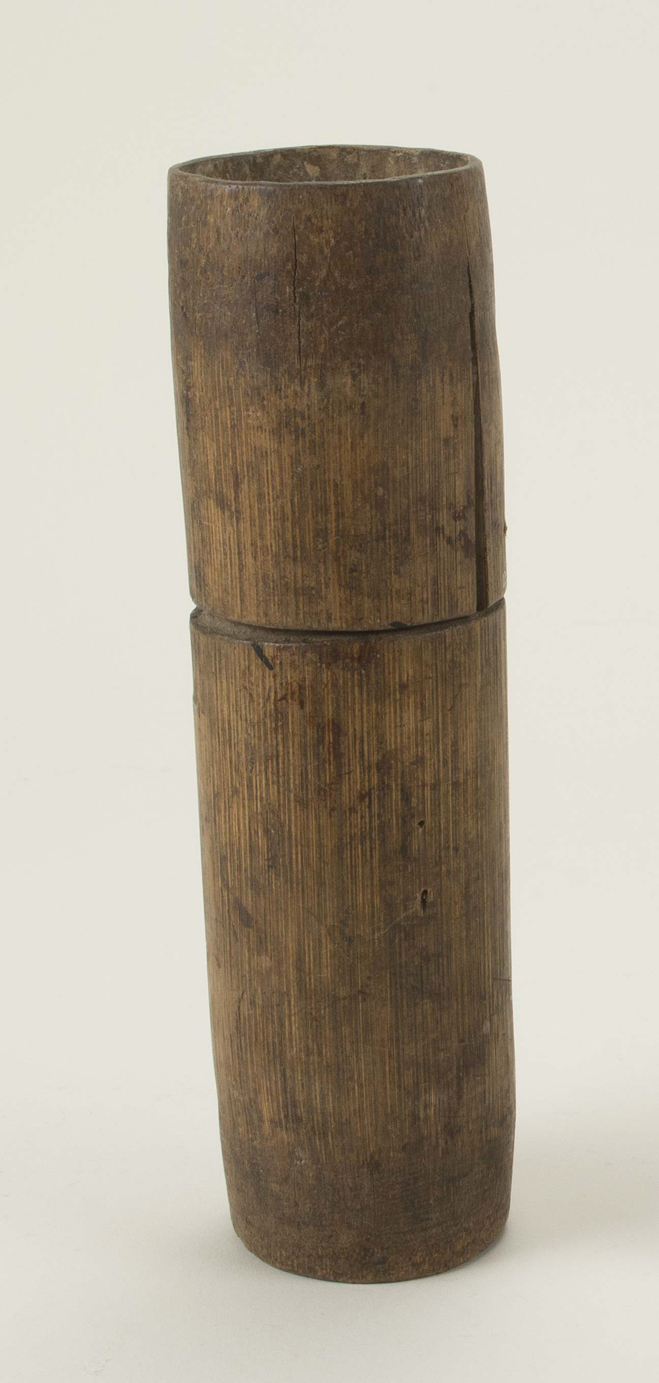 Front view (c) Field Museum of Natural History - CC BY-NC 4.0