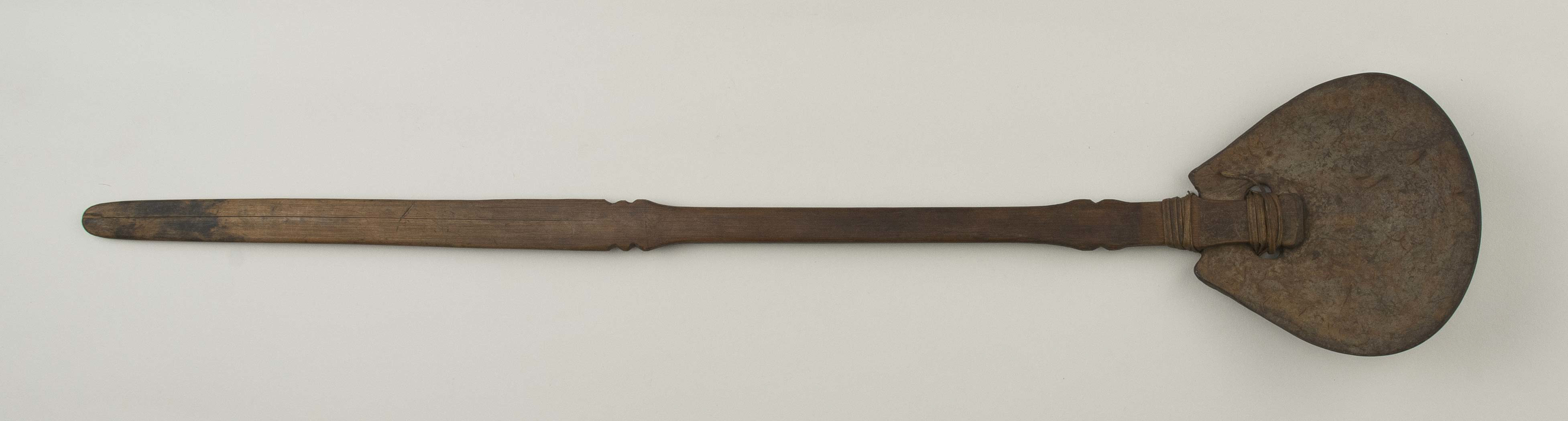 Top view (c) Field Museum of Natural History - CC BY-NC 4.0