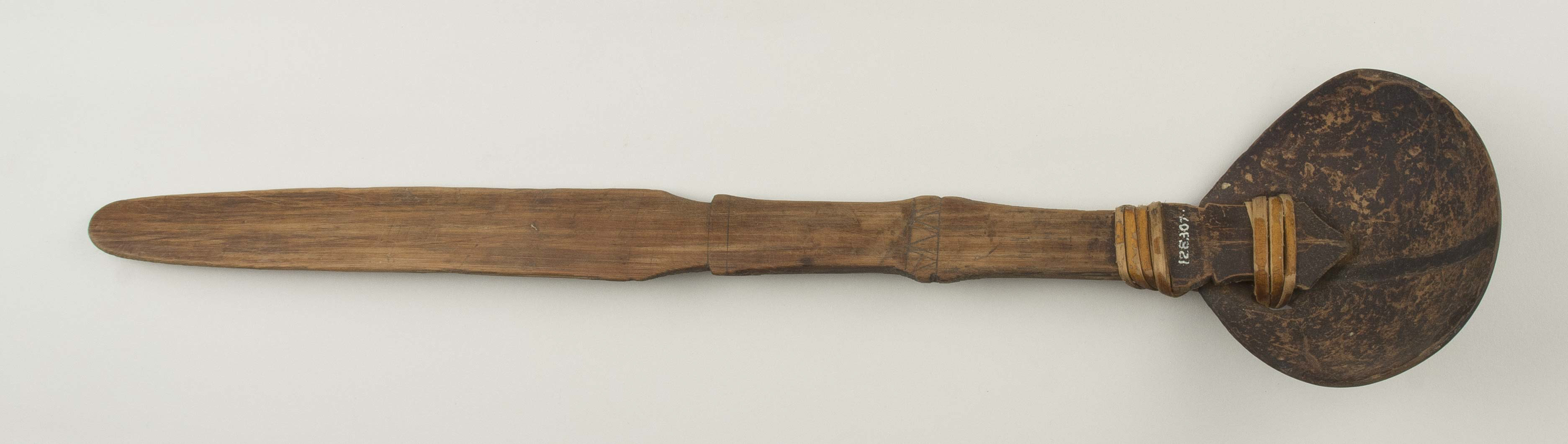 Top view (c) Field Museum of Natural History - CC BY-NC 4.0