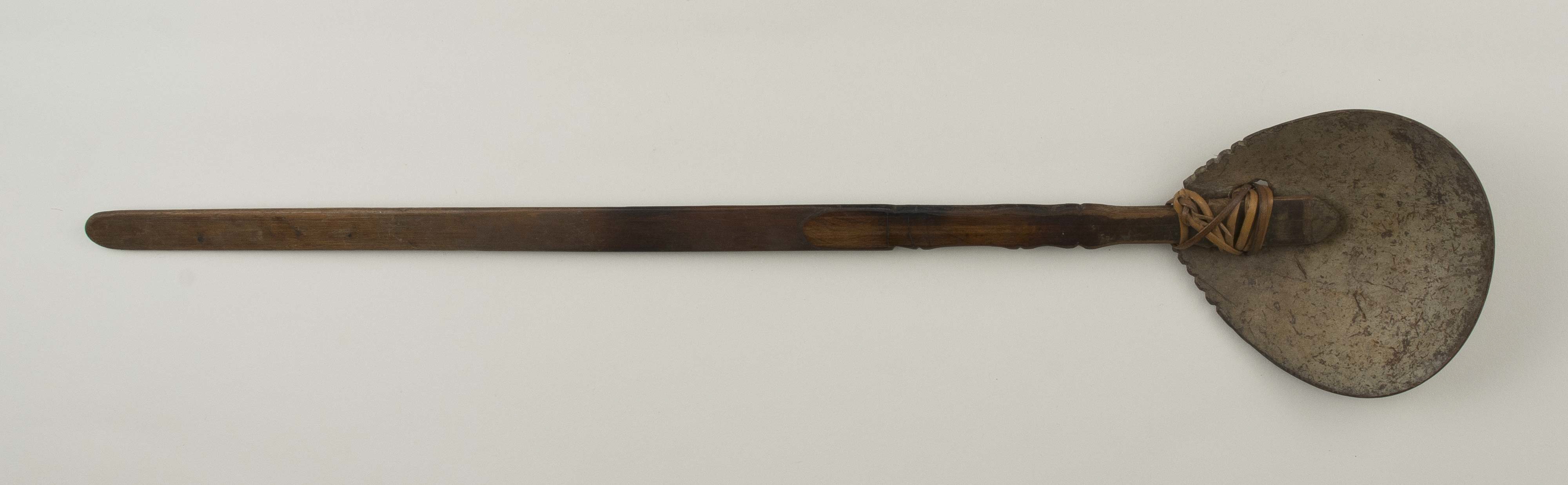 Top view (c) Field Museum of Natural History - CC BY-NC 4.0