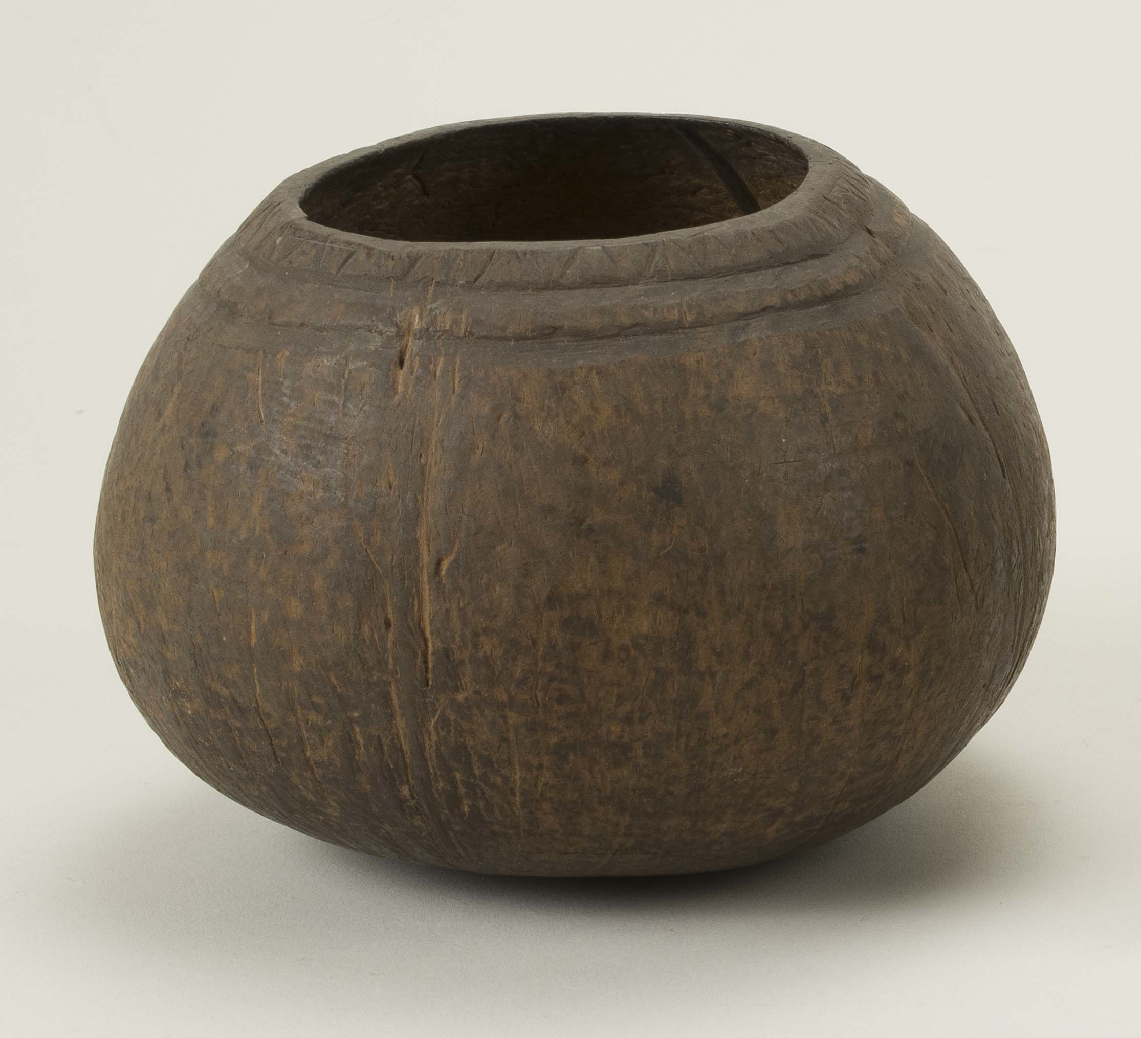 Front view (c) Field Museum of Natural History - CC BY-NC 4.0