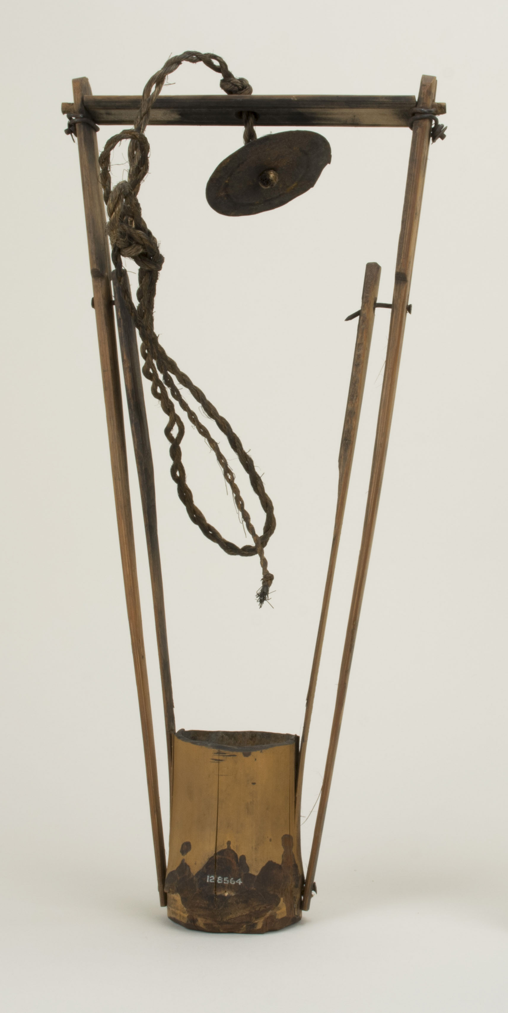 Front view (c) Field Museum of Natural History - CC BY-NC 4.0