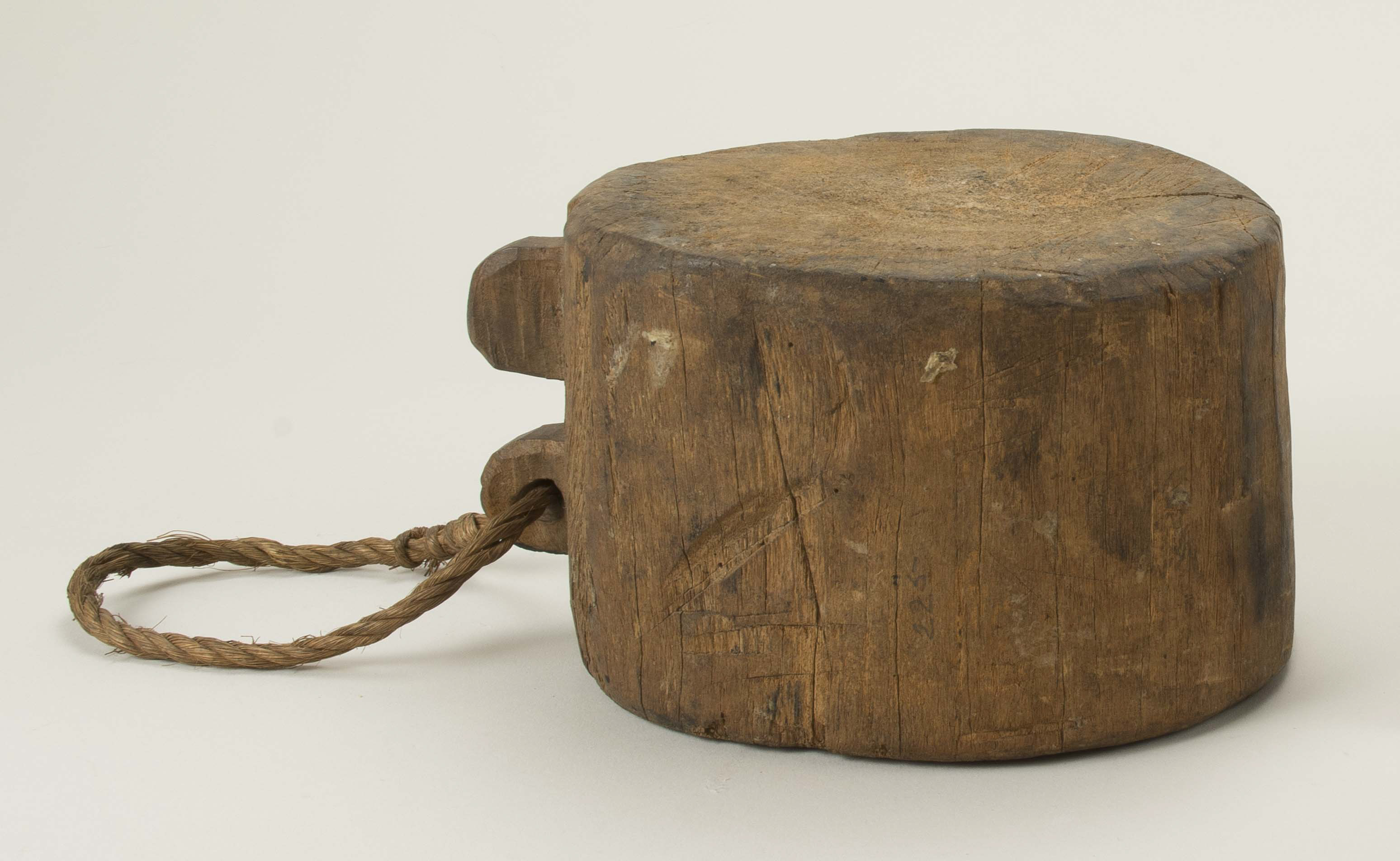 Side view (c) Field Museum of Natural History - CC BY-NC 4.0