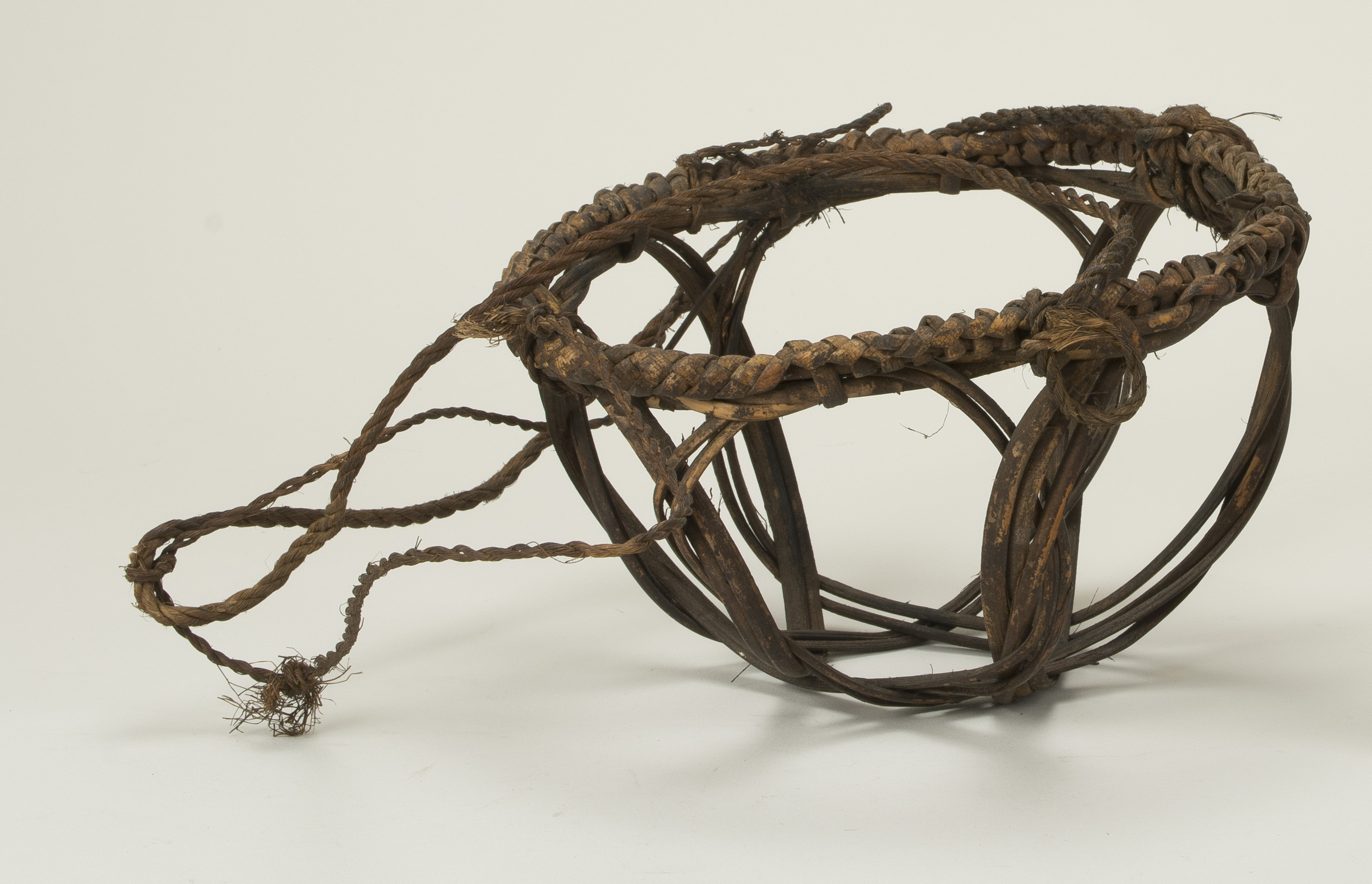 Side view (c) Field Museum of Natural History - CC BY-NC 4.0