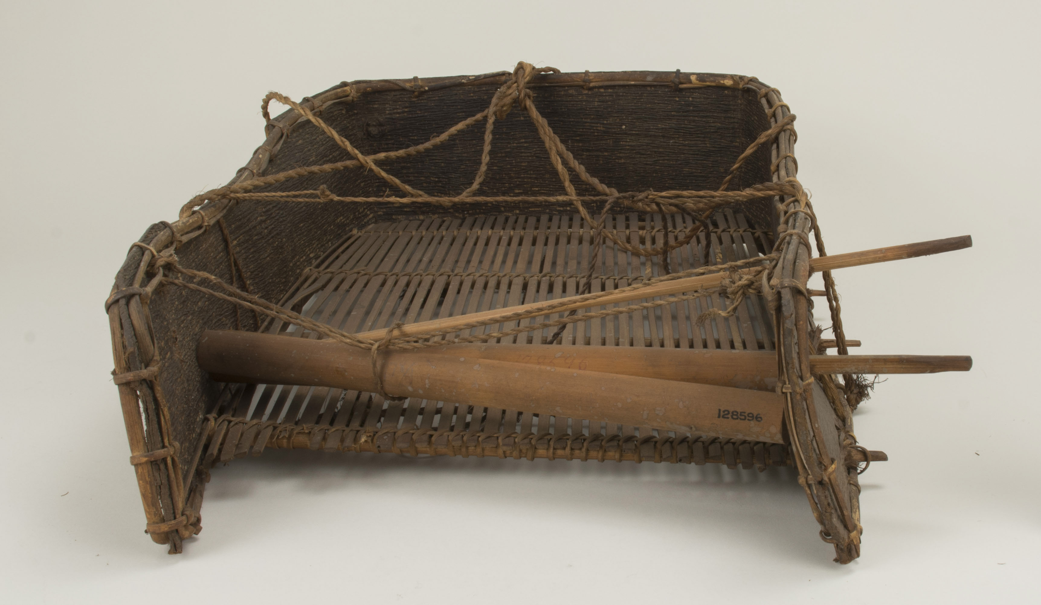 Front view (c) Field Museum of Natural History - CC BY-NC 4.0