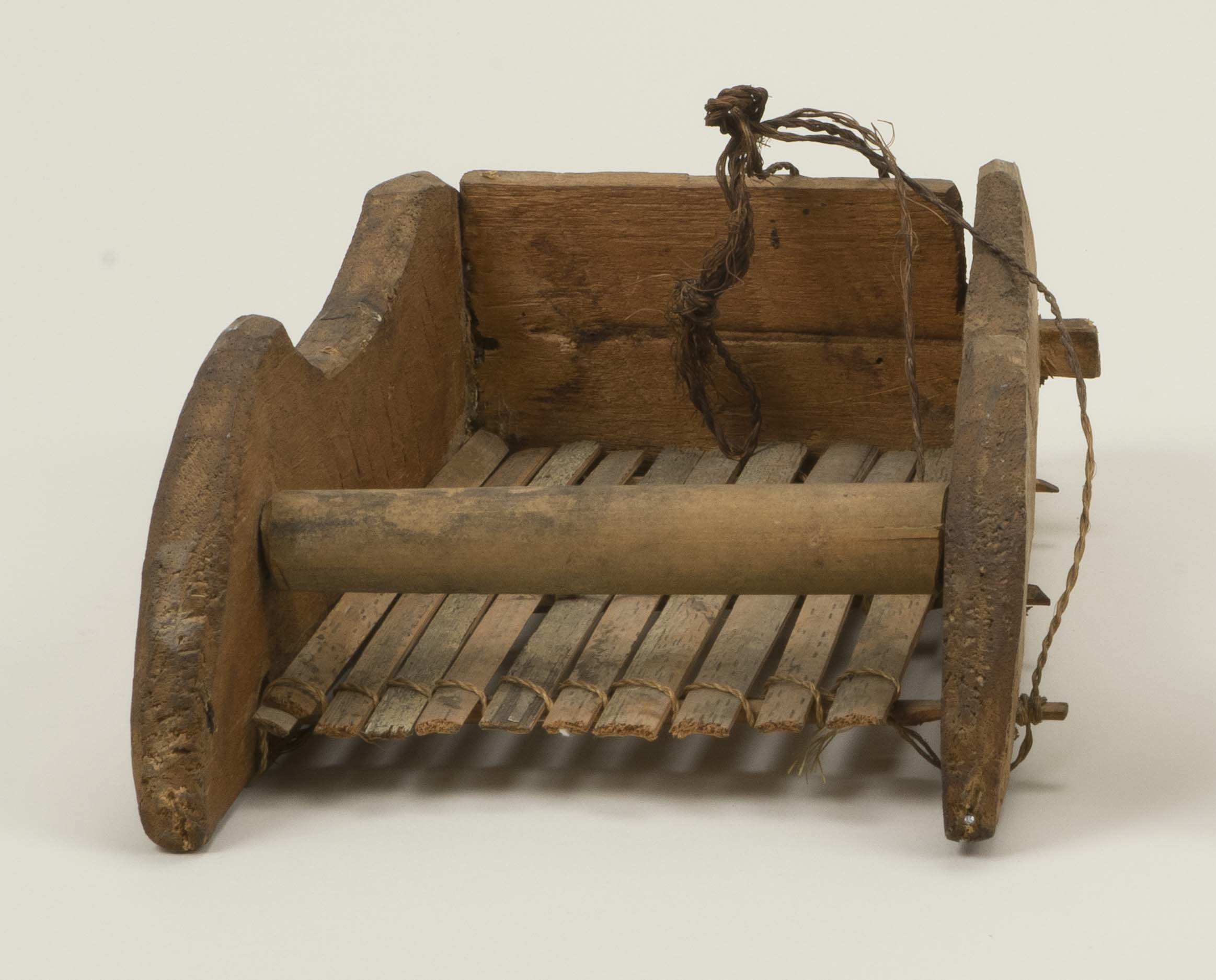 Front view (c) Field Museum of Natural History - CC BY-NC 4.0