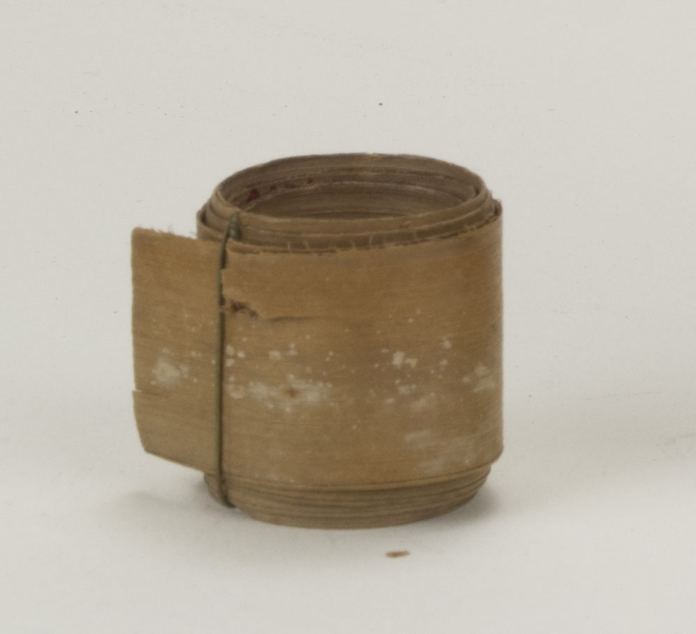 Front view (c) Field Museum of Natural History - CC BY-NC 4.0