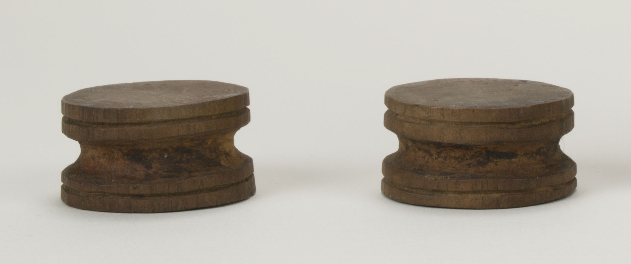 Front view (c) Field Museum of Natural History - CC BY-NC 4.0