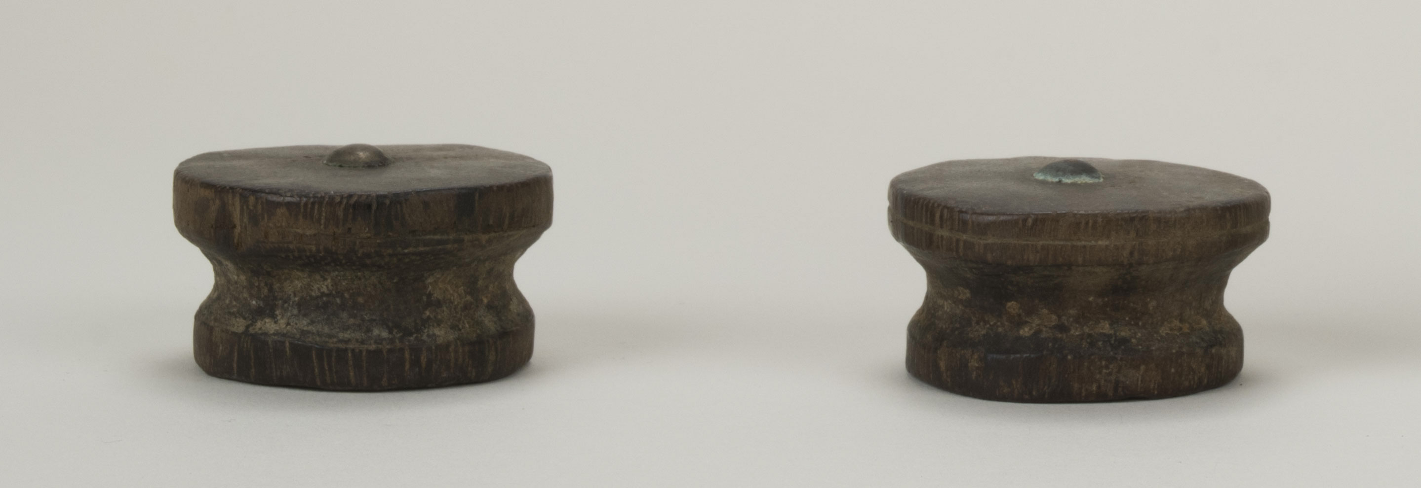 Front view (c) Field Museum of Natural History - CC BY-NC 4.0