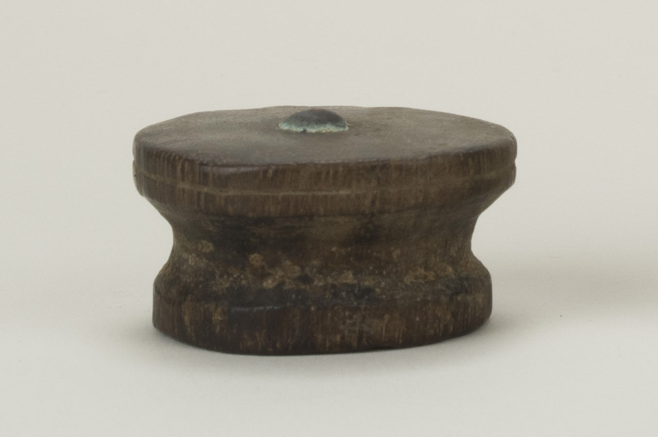 Front view (c) Field Museum of Natural History - CC BY-NC 4.0