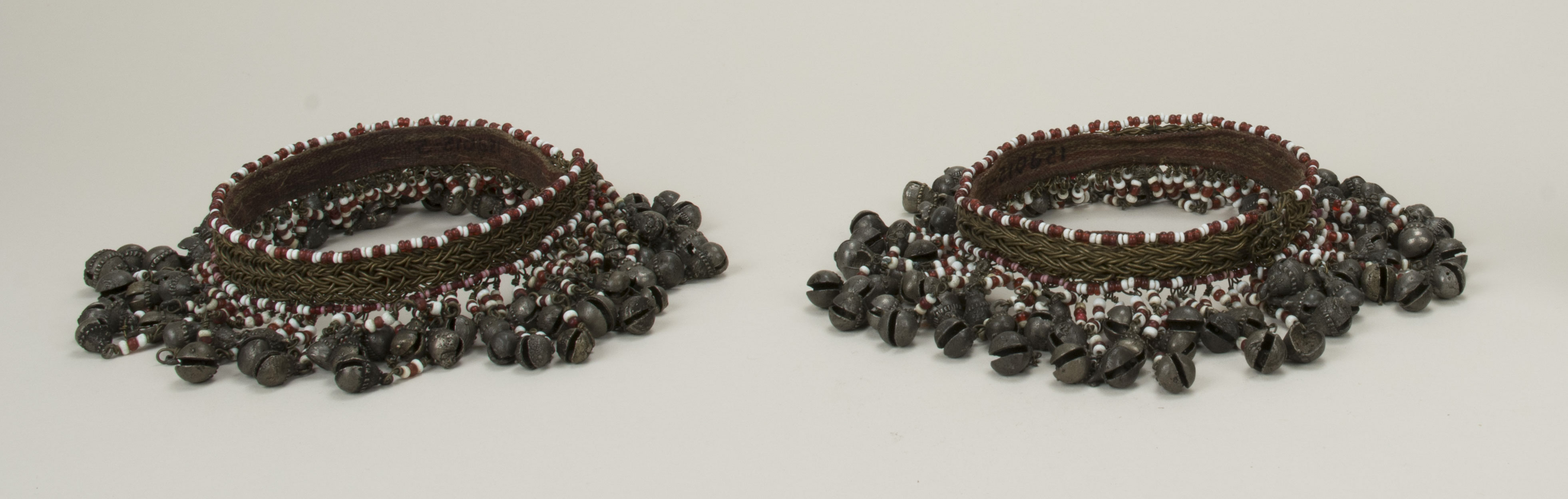 Front view (c) Field Museum of Natural History - CC BY-NC 4.0