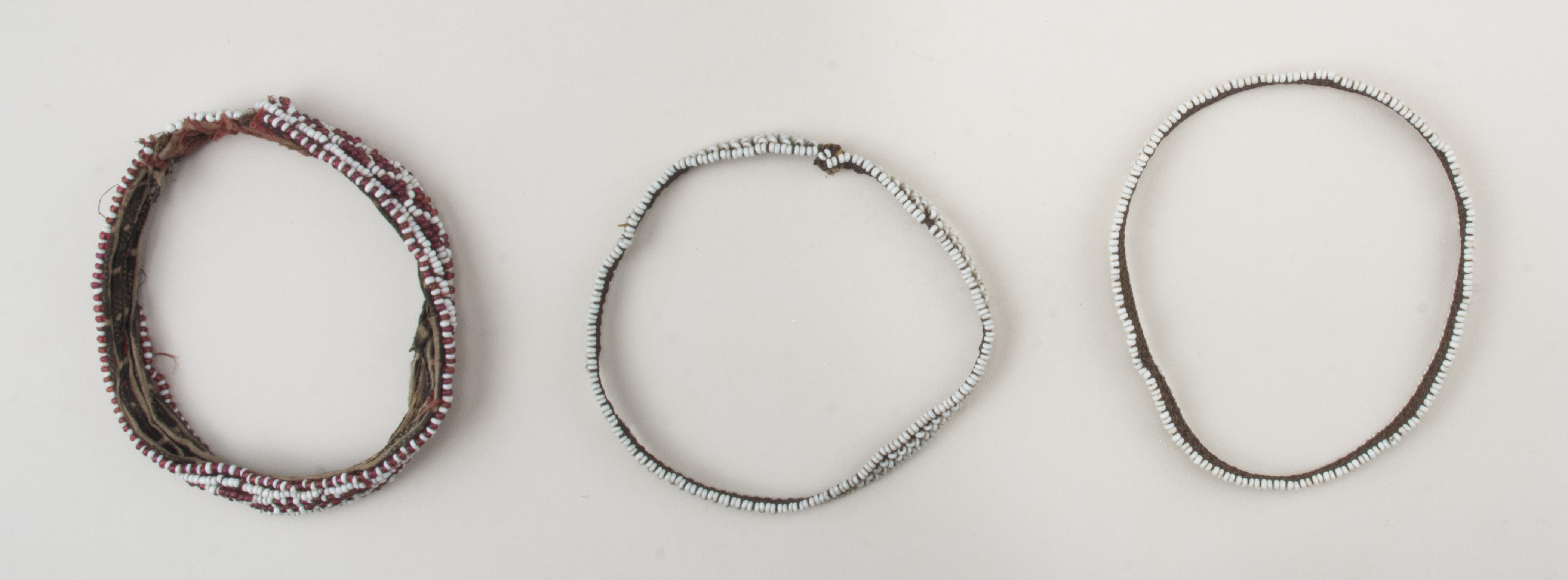 Top view (c) Field Museum of Natural History - CC BY-NC 4.0