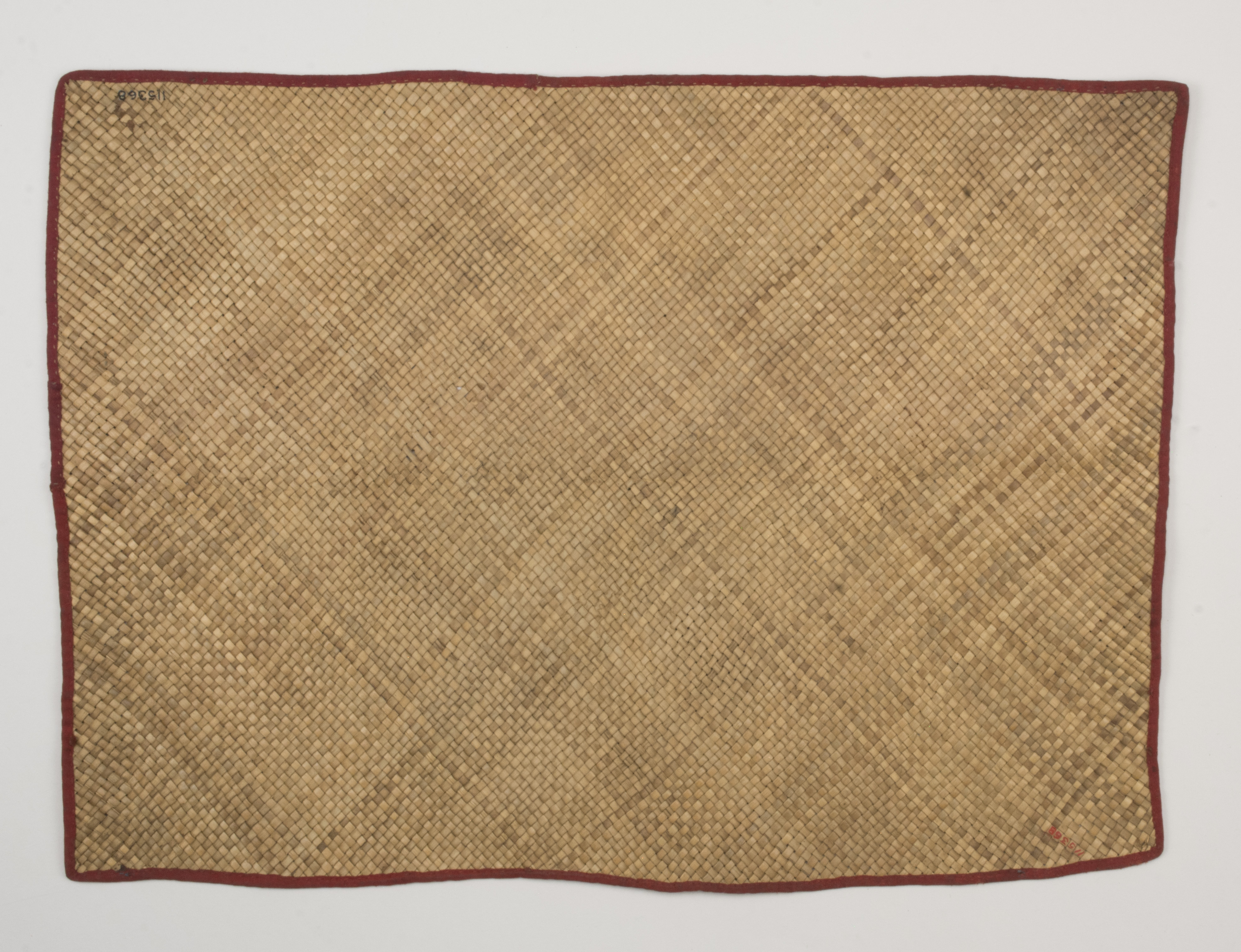 Top view (c) Field Museum of Natural History - CC BY-NC 4.0