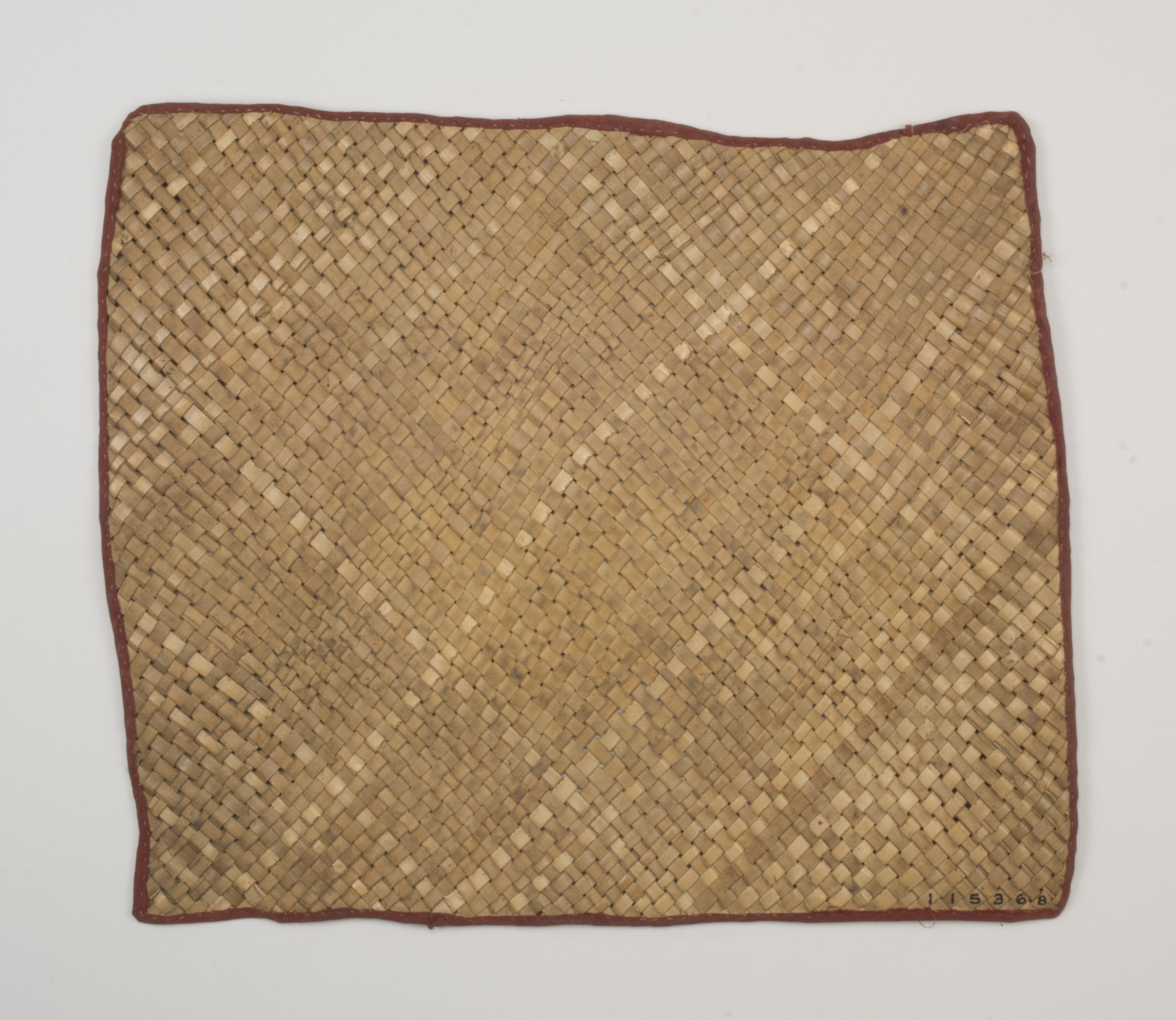 Top view (c) Field Museum of Natural History - CC BY-NC 4.0