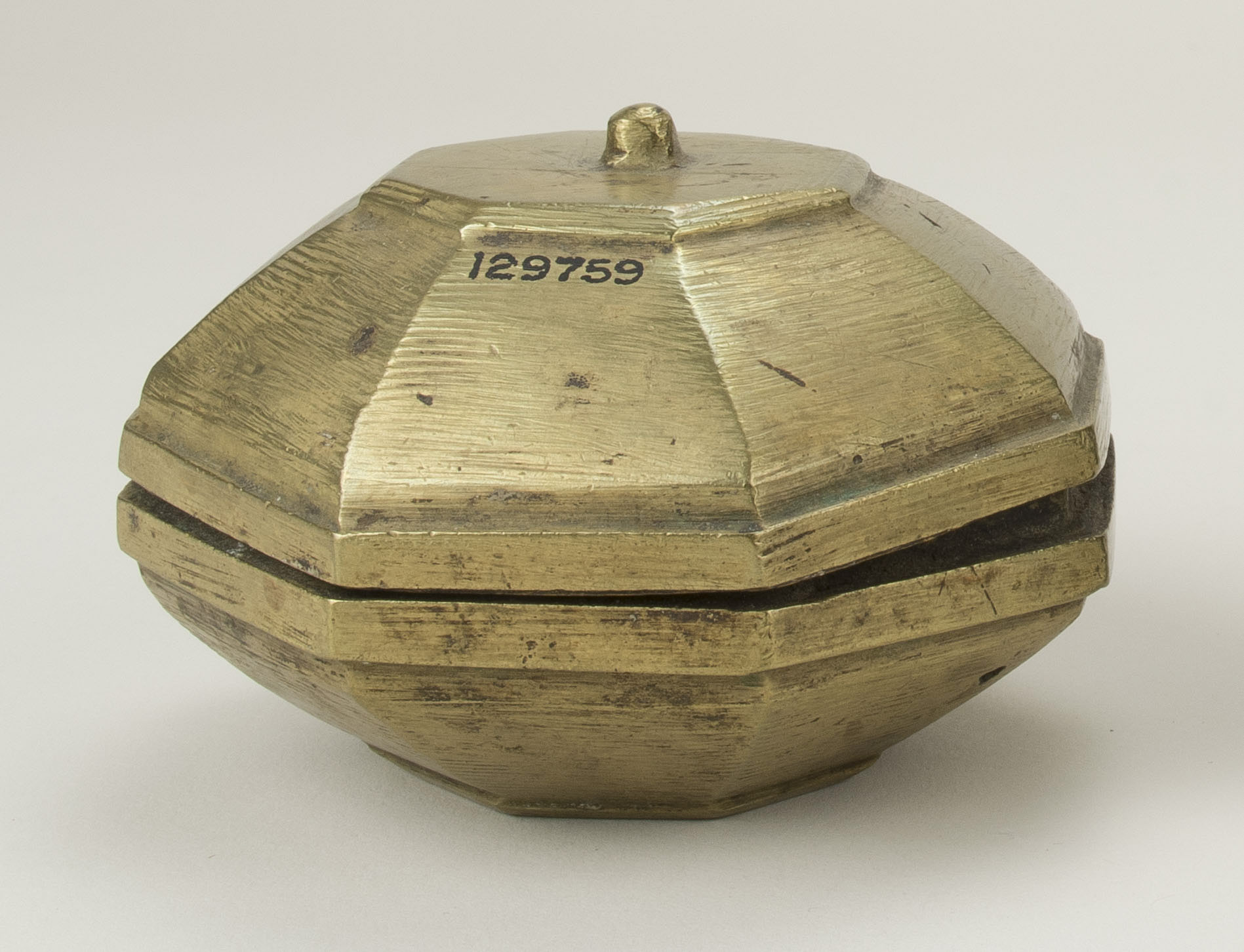 Front view (c) Field Museum of Natural History - CC BY-NC 4.0