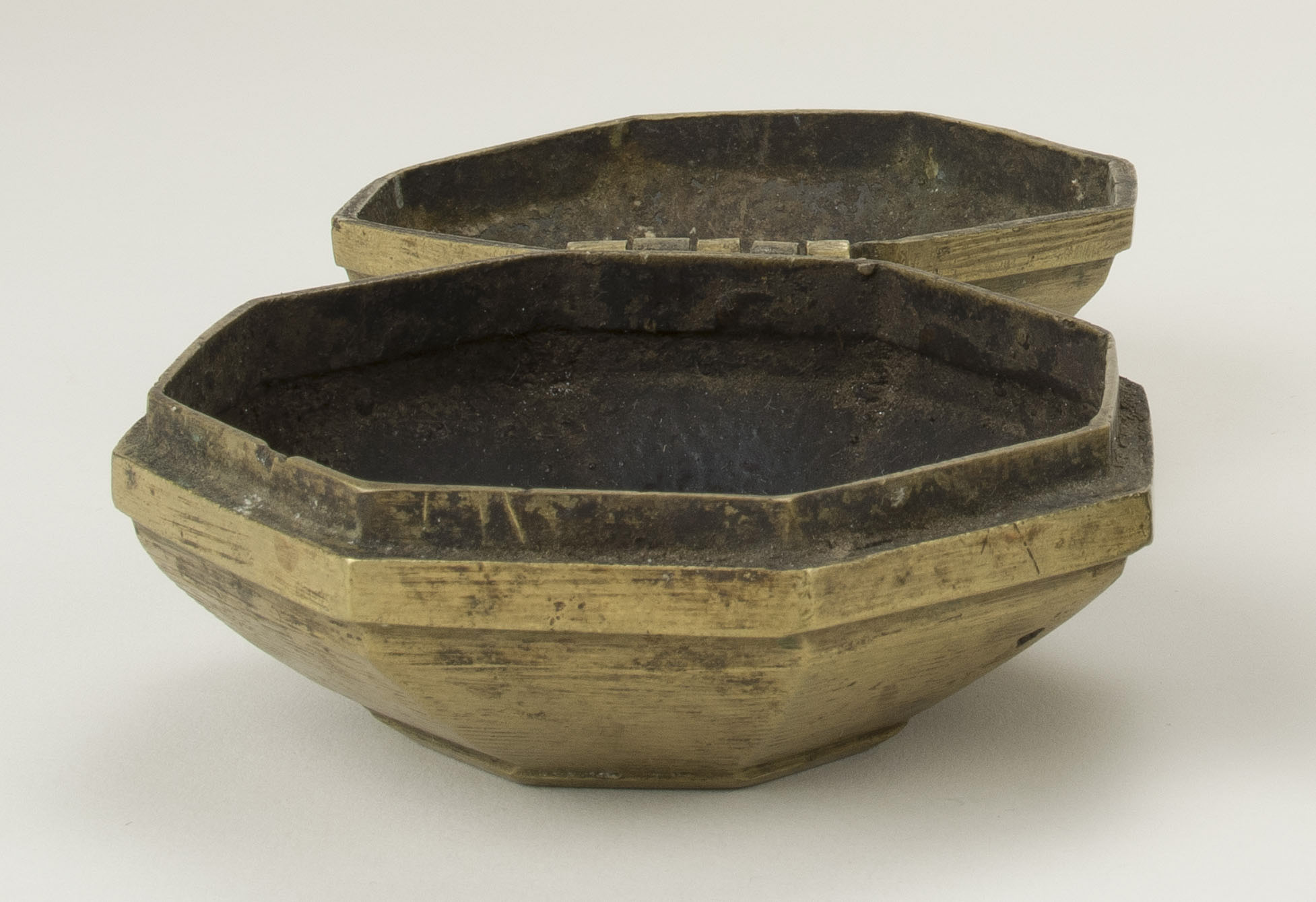 Open view (c) Field Museum of Natural History - CC BY-NC 4.0