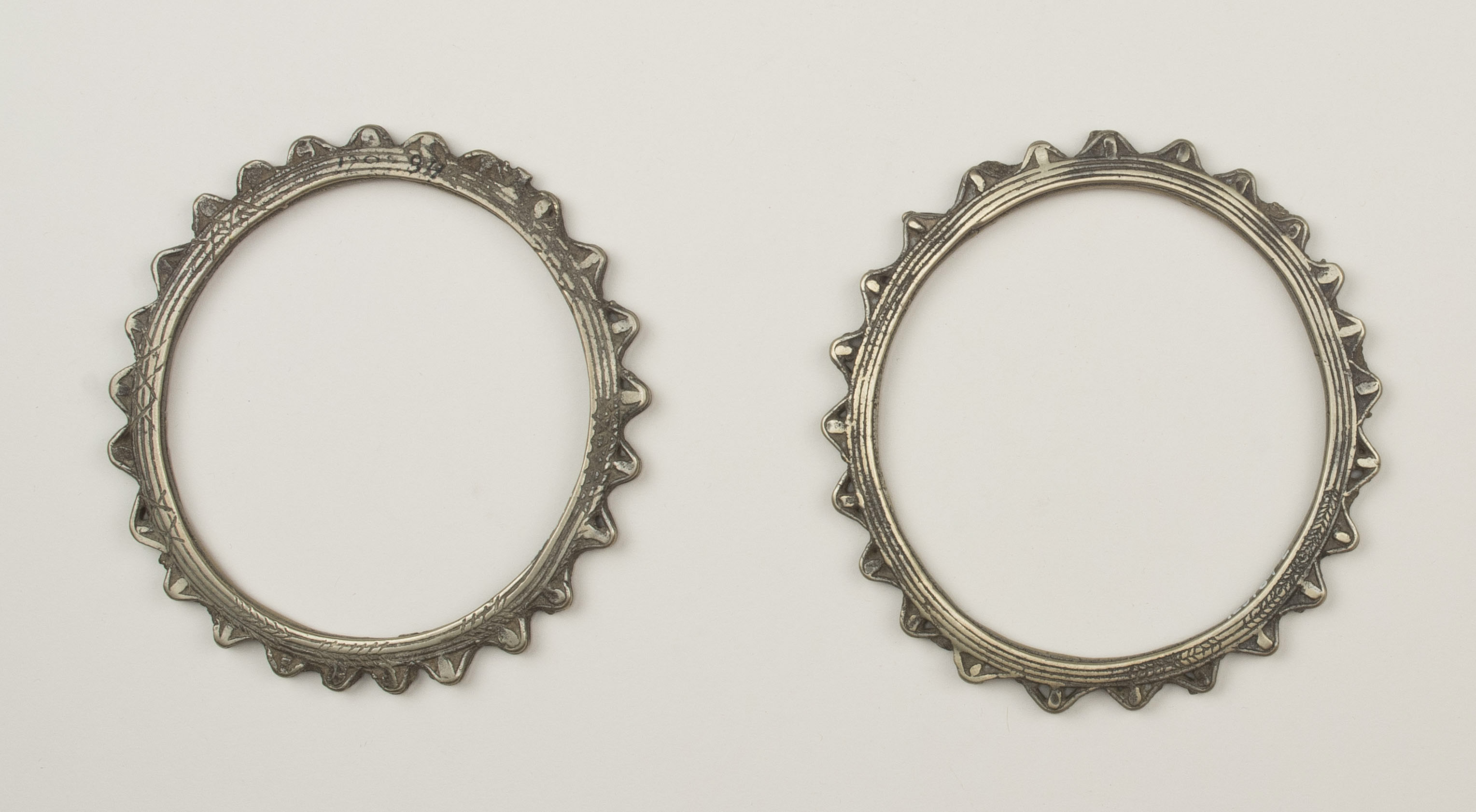 Top view (c) Field Museum of Natural History - CC BY-NC 4.0