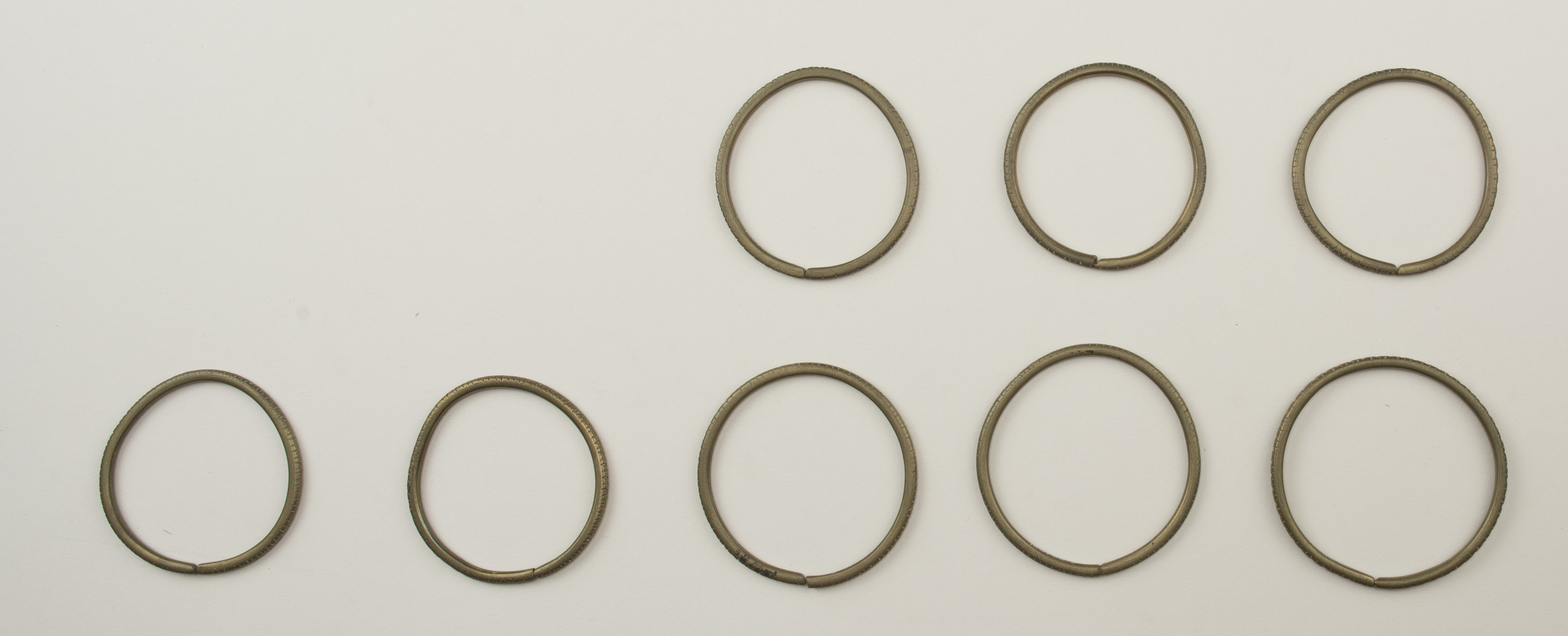 Top view (c) Field Museum of Natural History - CC BY-NC 4.0