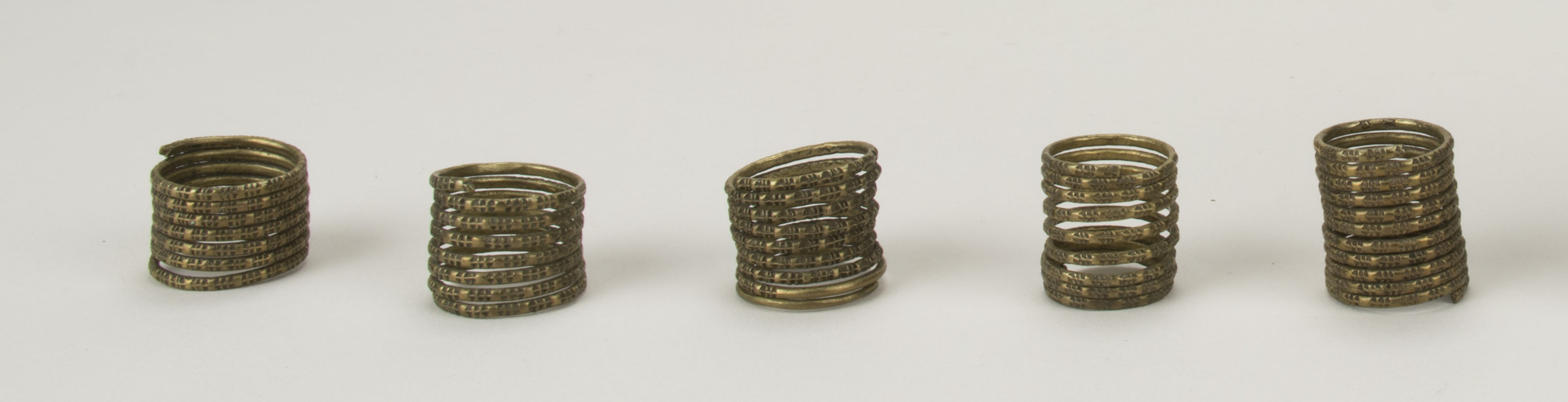 Front view (c) Field Museum of Natural History - CC BY-NC 4.0