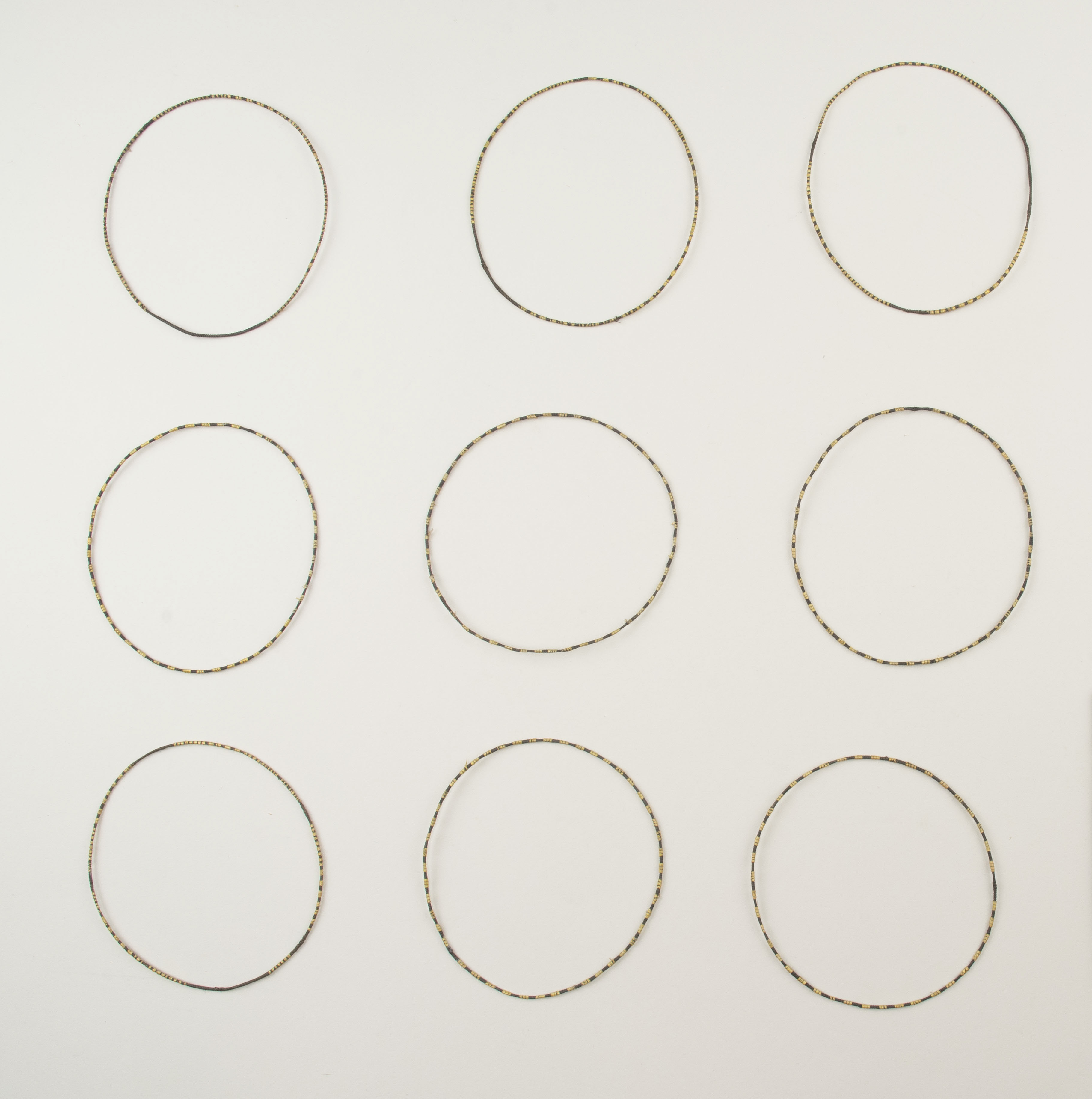 Top view (c) Field Museum of Natural History - CC BY-NC 4.0