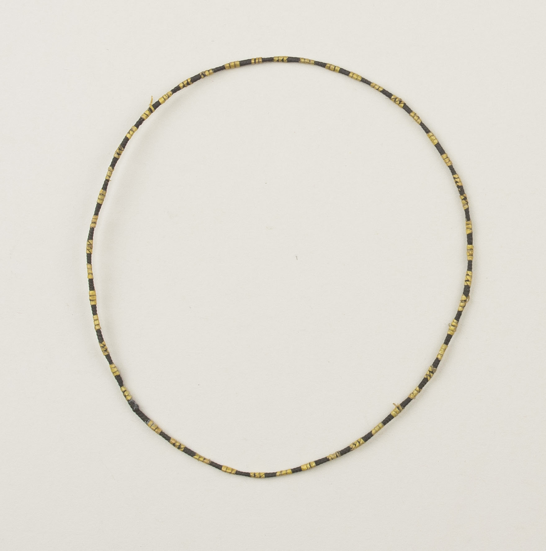 Top view (c) Field Museum of Natural History - CC BY-NC 4.0