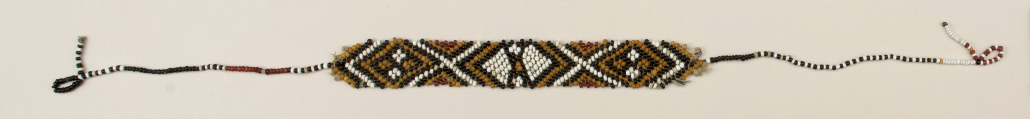 Top view (c) Field Museum of Natural History - CC BY-NC 4.0