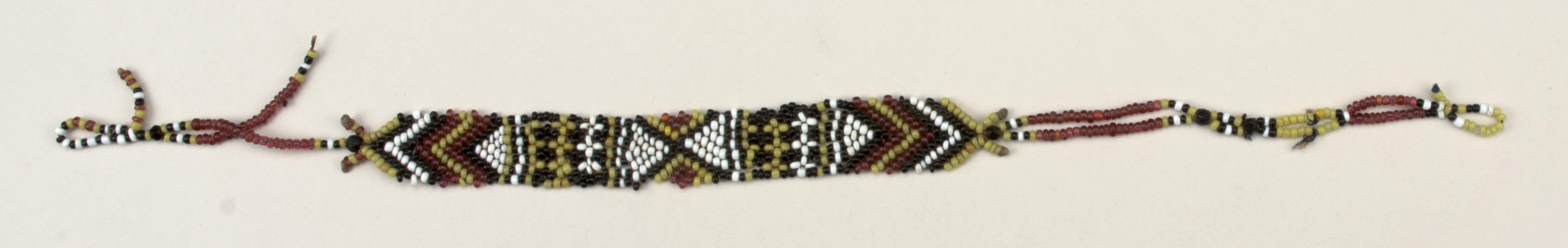 Top view (c) Field Museum of Natural History - CC BY-NC 4.0