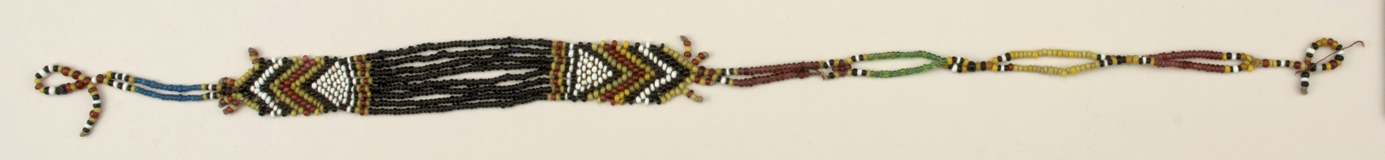 Top view (c) Field Museum of Natural History - CC BY-NC 4.0