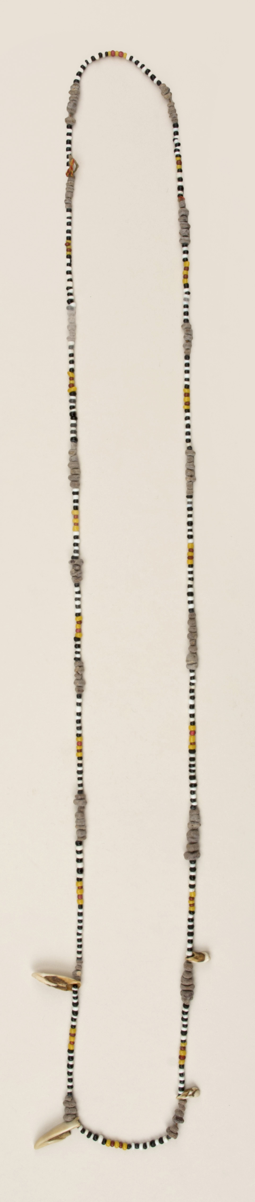 Top view (c) Field Museum of Natural History - CC BY-NC 4.0