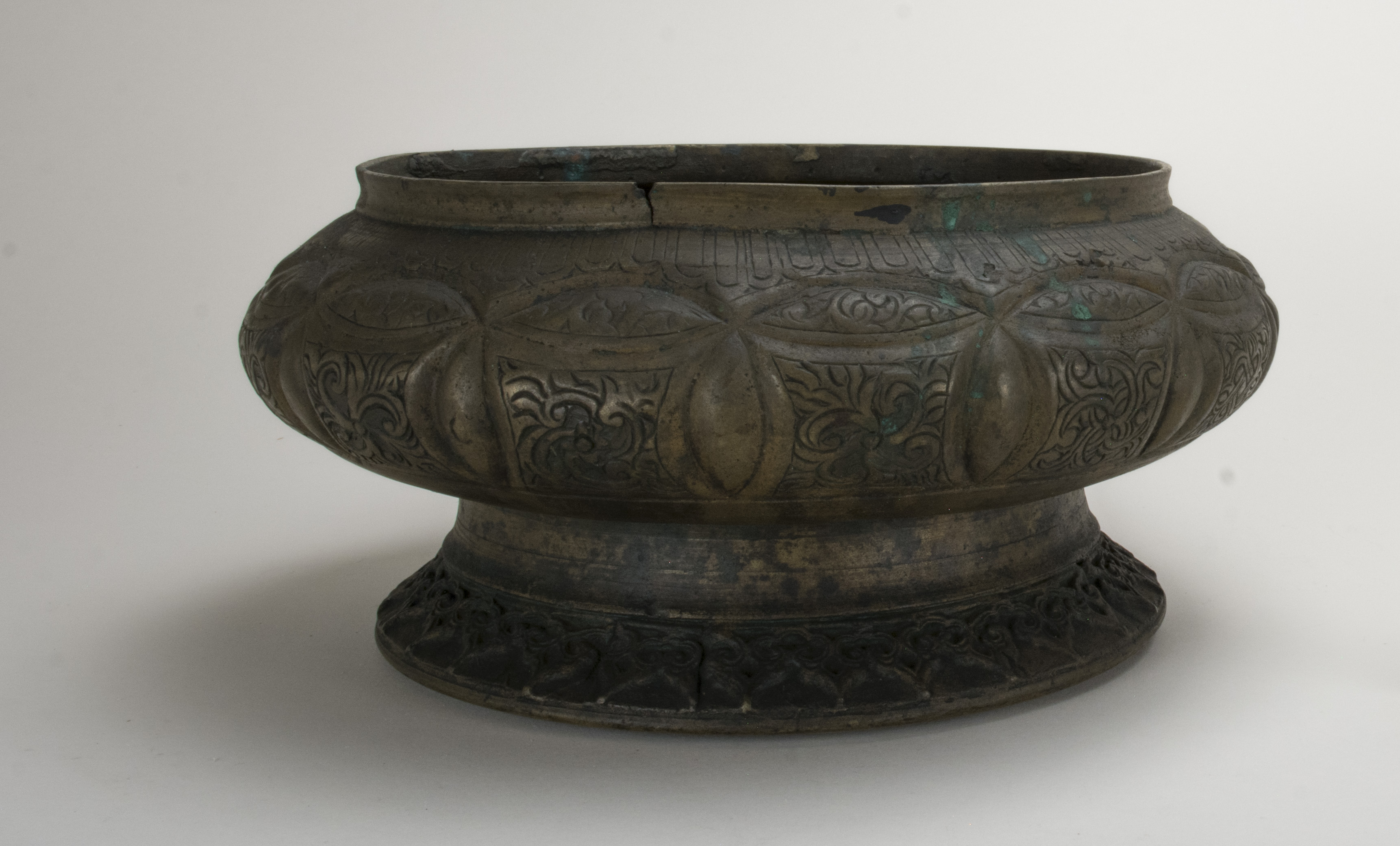 Front view without scale (c) Field Museum of Natural History - CC BY-NC 4.0