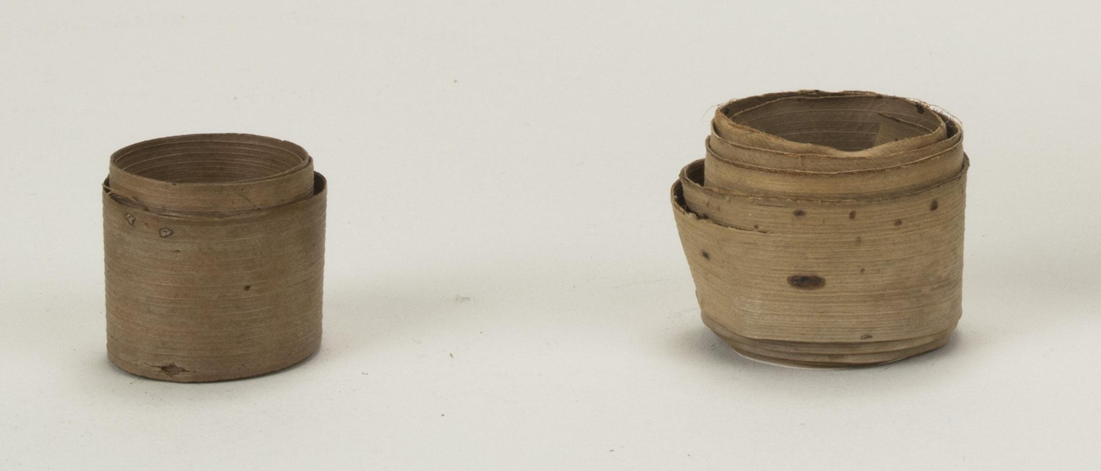 Front view (c) Field Museum of Natural History - CC BY-NC 4.0