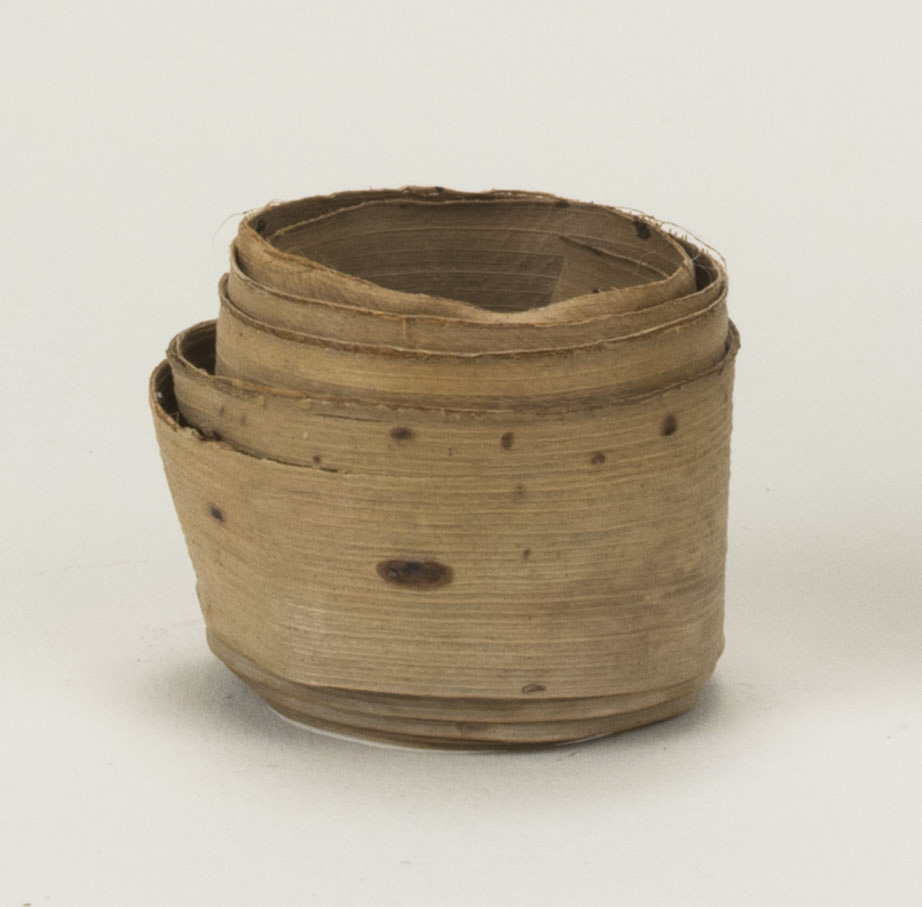 Front view (c) Field Museum of Natural History - CC BY-NC 4.0