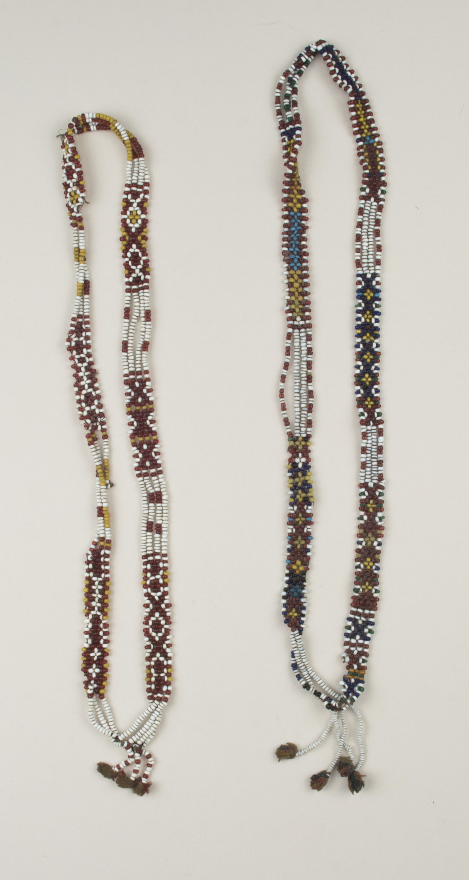 Top view (c) Field Museum of Natural History - CC BY-NC 4.0