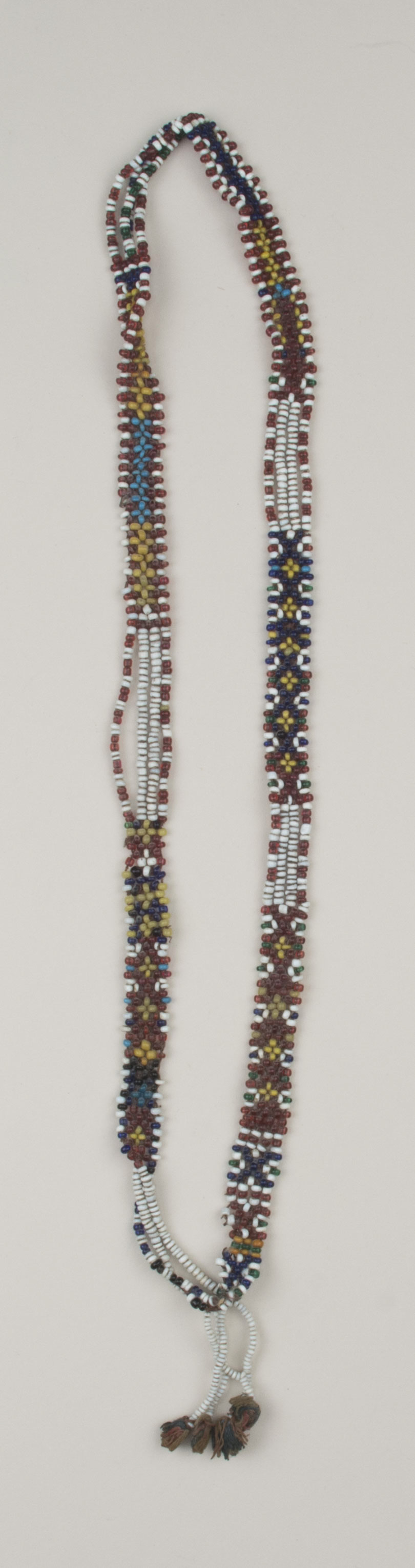 Top view without scale (c) Field Museum of Natural History - CC BY-NC 4.0