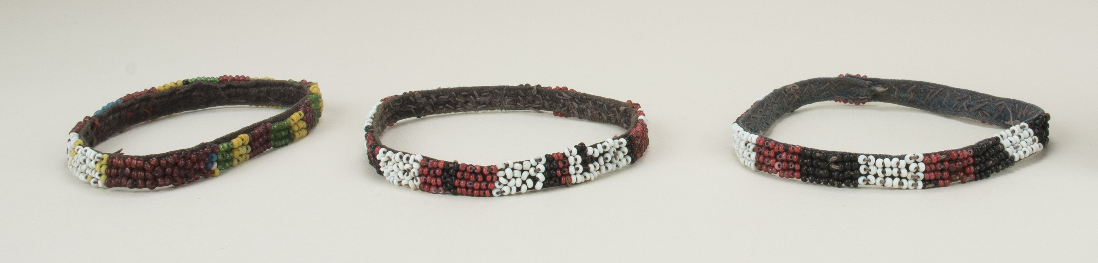 Front view (c) Field Museum of Natural History - CC BY-NC 4.0