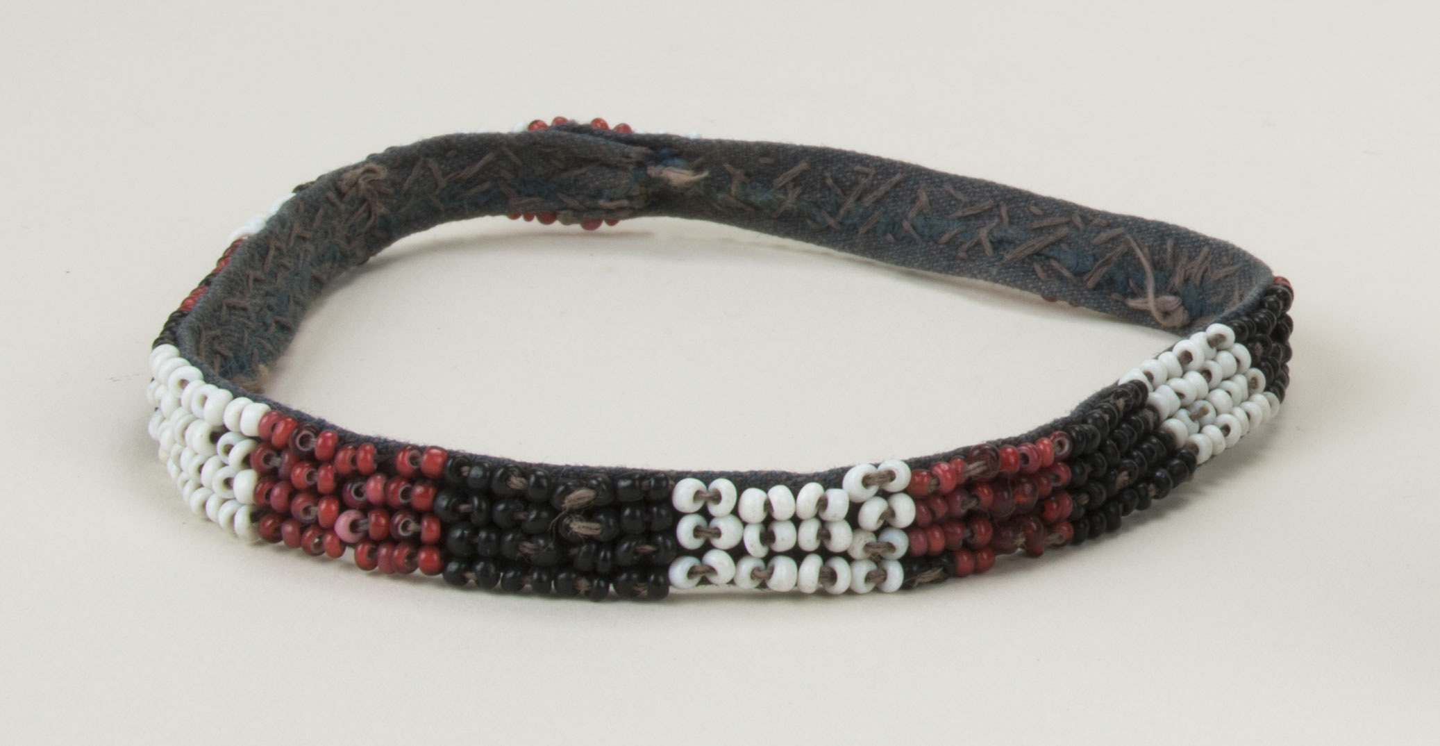 Front view (c) Field Museum of Natural History - CC BY-NC 4.0