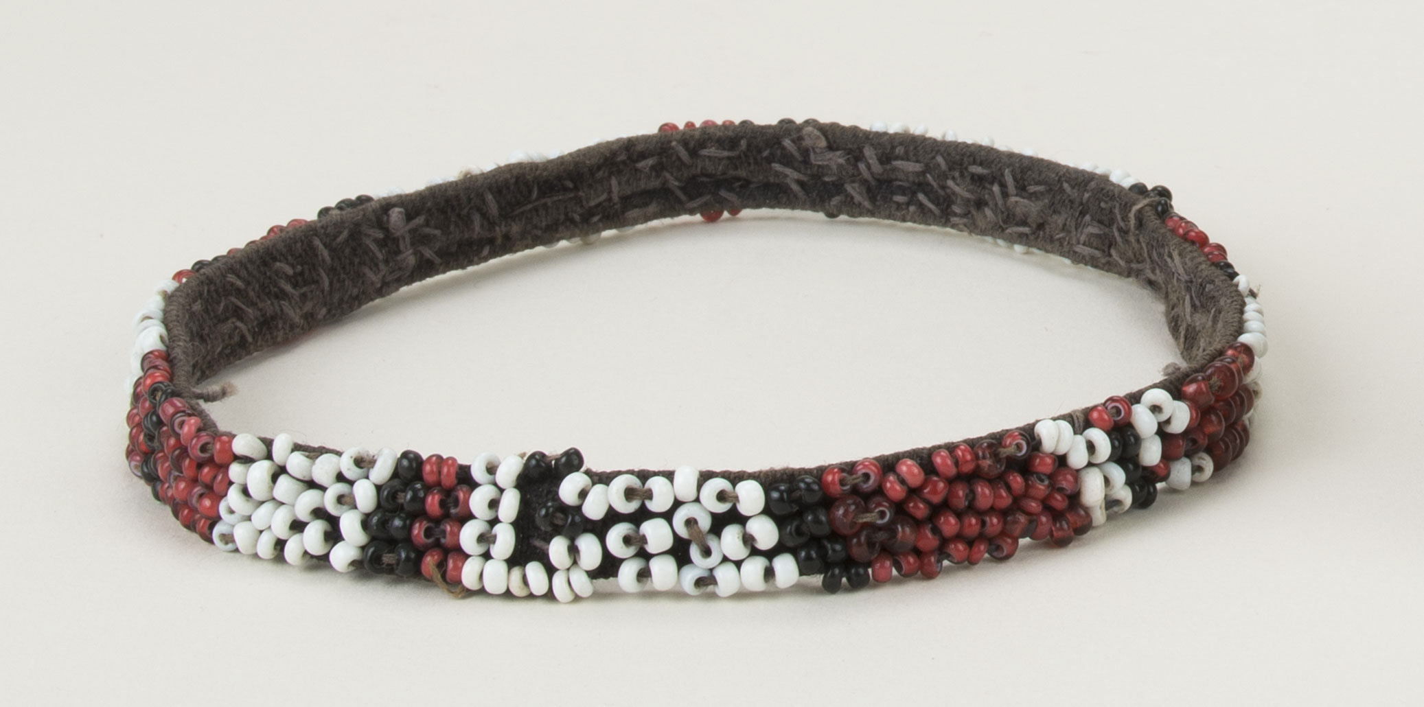 Front view (c) Field Museum of Natural History - CC BY-NC 4.0