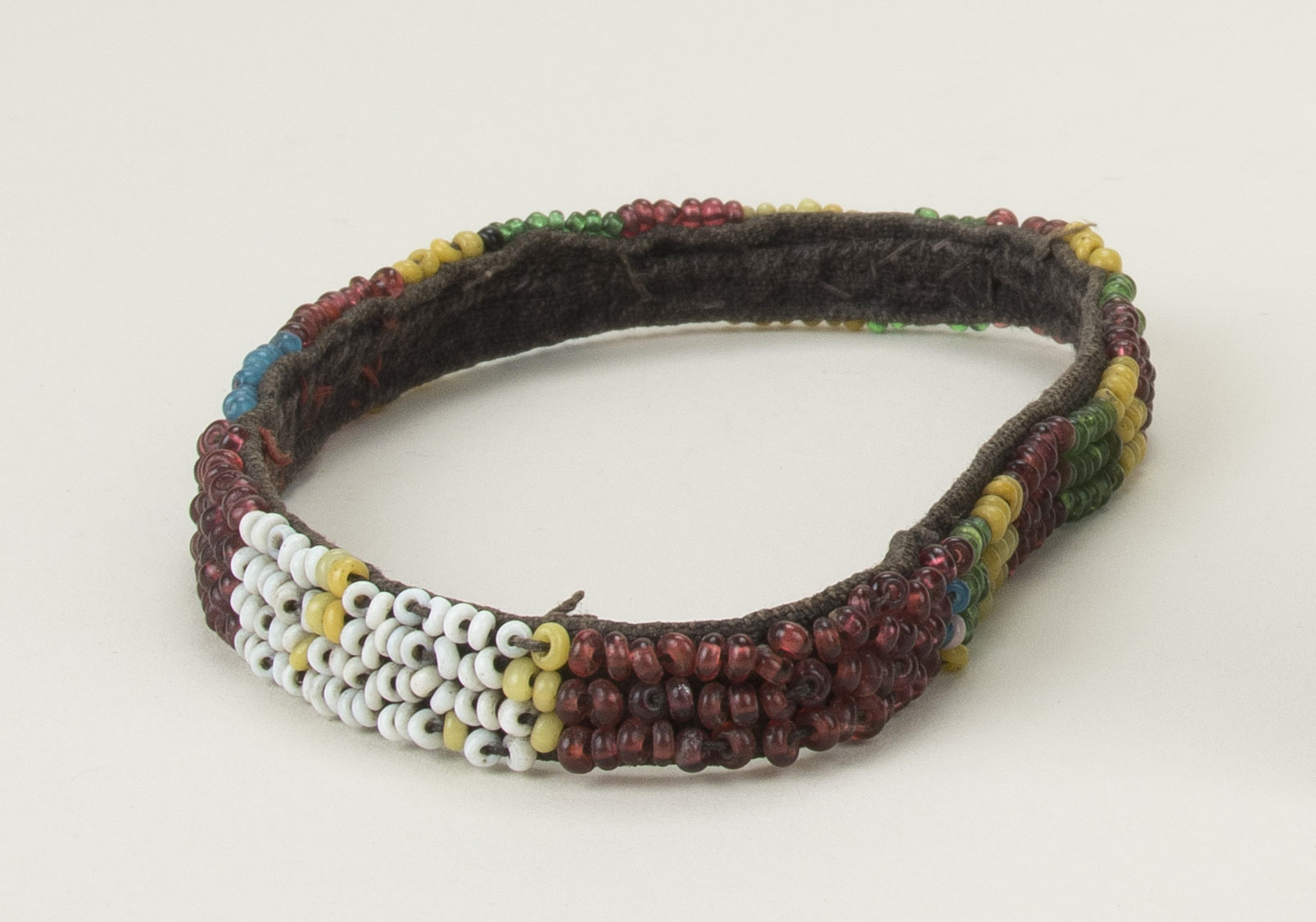 Front view (c) Field Museum of Natural History - CC BY-NC 4.0