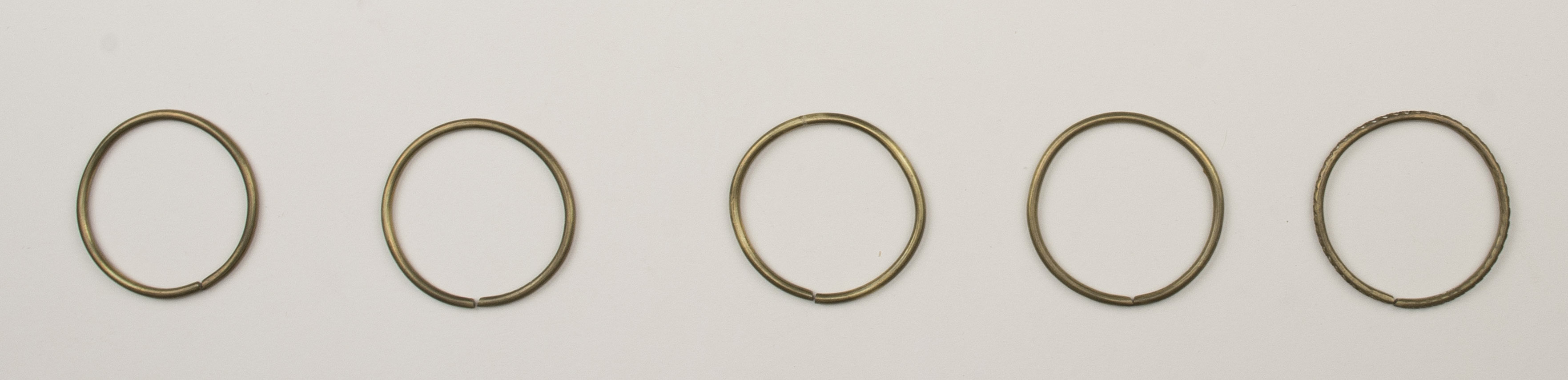 Top view (c) Field Museum of Natural History - CC BY-NC 4.0