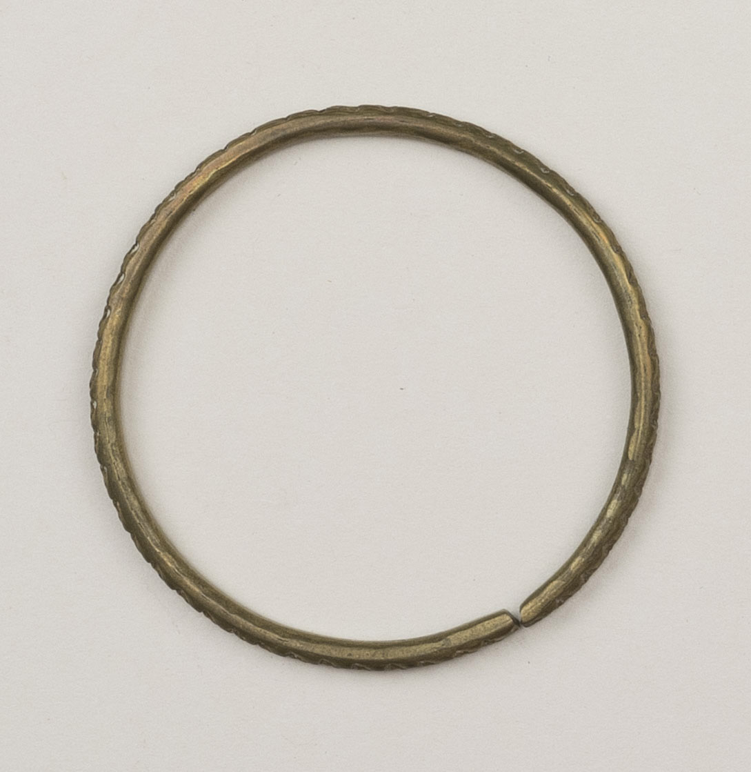 Top view (c) Field Museum of Natural History - CC BY-NC 4.0