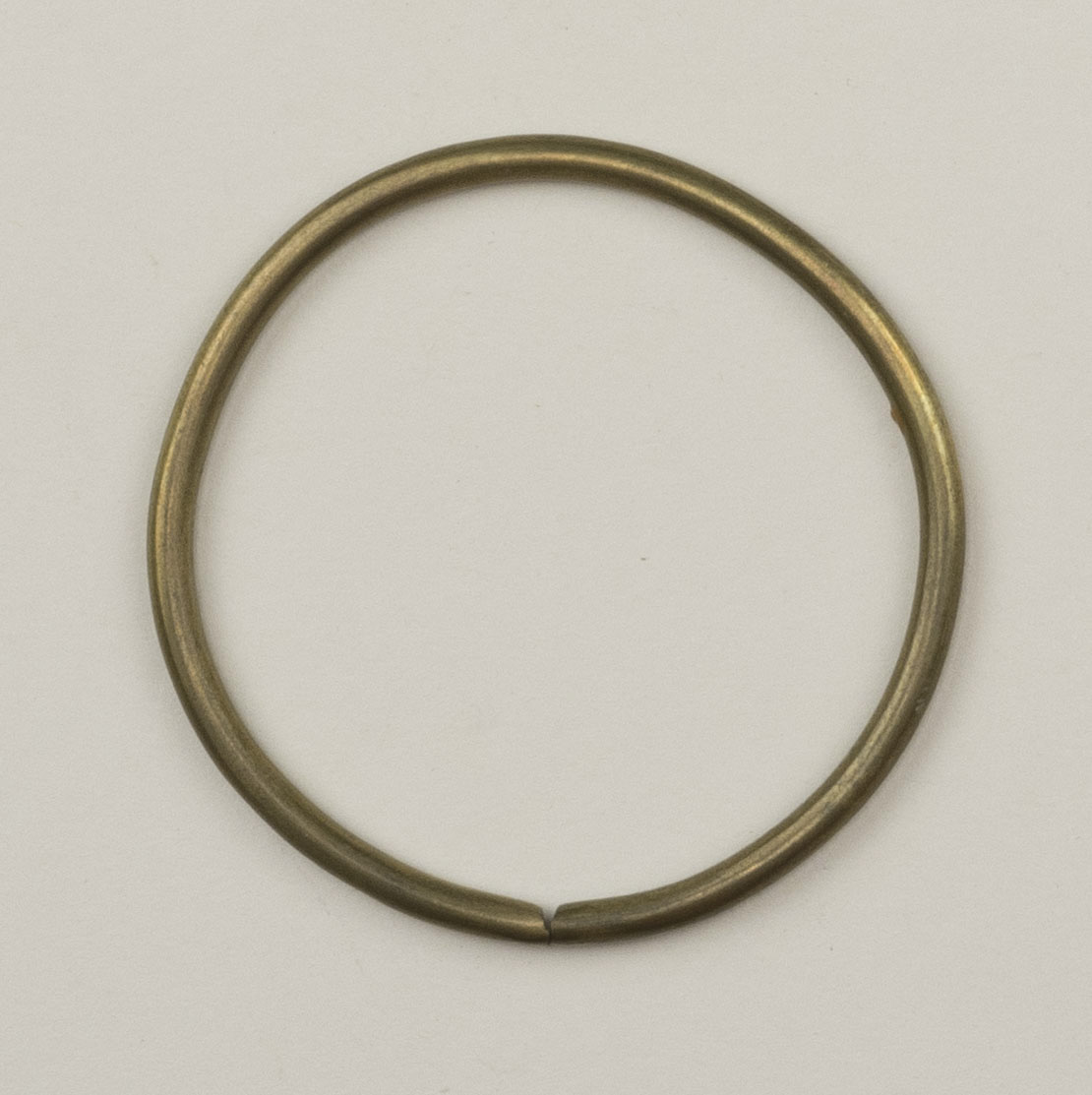 Top view (c) Field Museum of Natural History - CC BY-NC 4.0