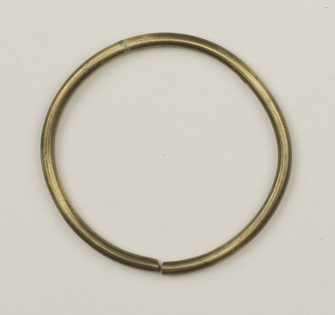 Top view (c) Field Museum of Natural History - CC BY-NC 4.0