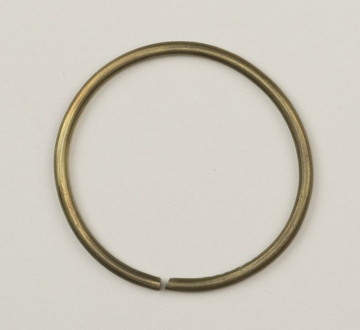 Top view (c) Field Museum of Natural History - CC BY-NC 4.0