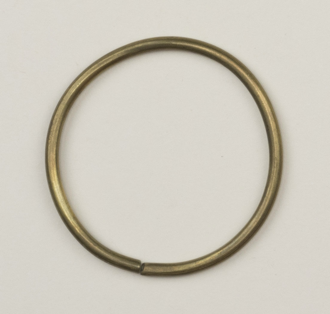 Top view (c) Field Museum of Natural History - CC BY-NC 4.0