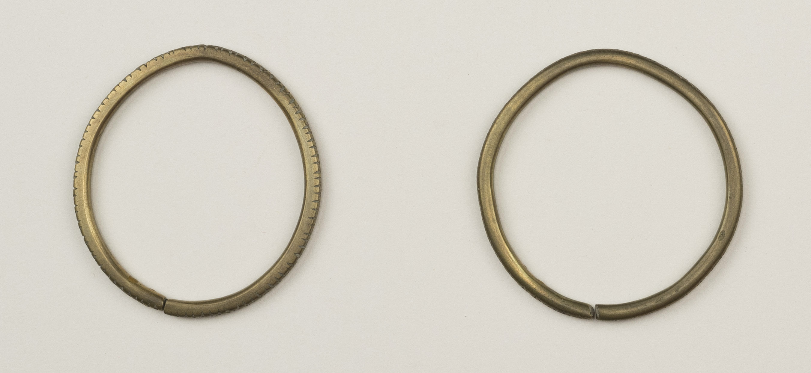 Top view (c) Field Museum of Natural History - CC BY-NC 4.0