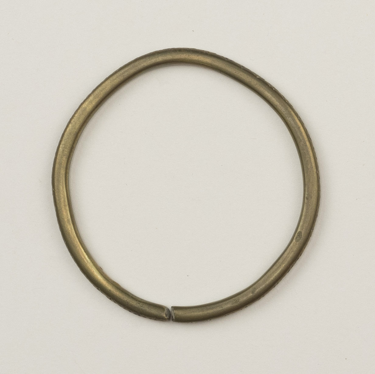 Top view (c) Field Museum of Natural History - CC BY-NC 4.0