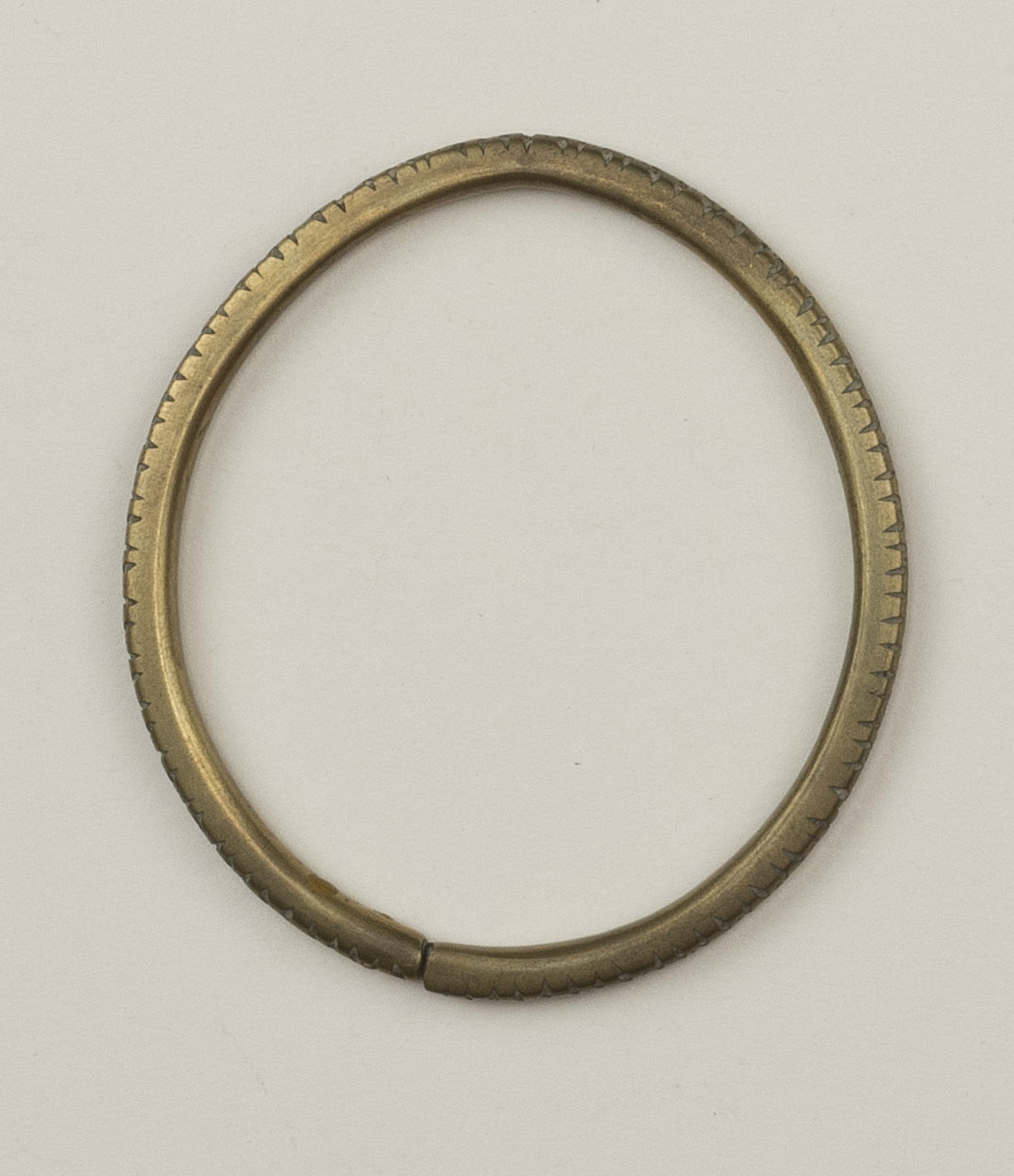 Top view (c) Field Museum of Natural History - CC BY-NC 4.0