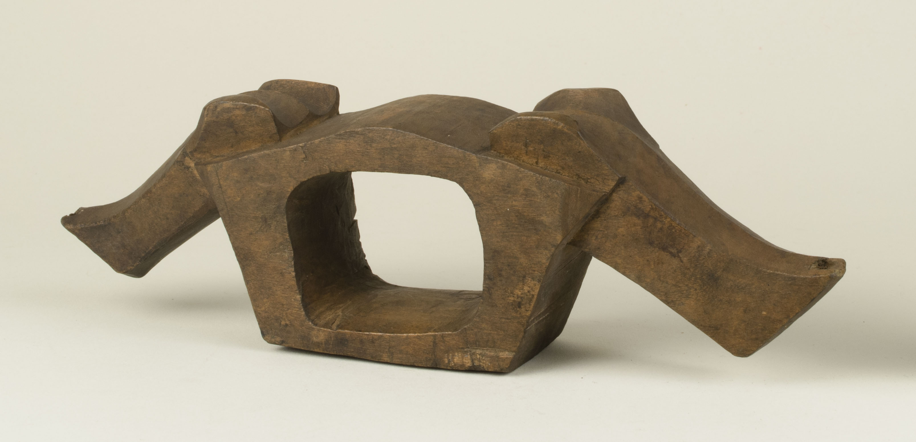 Side view without scale (c) Field Museum of Natural History - CC BY-NC 4.0