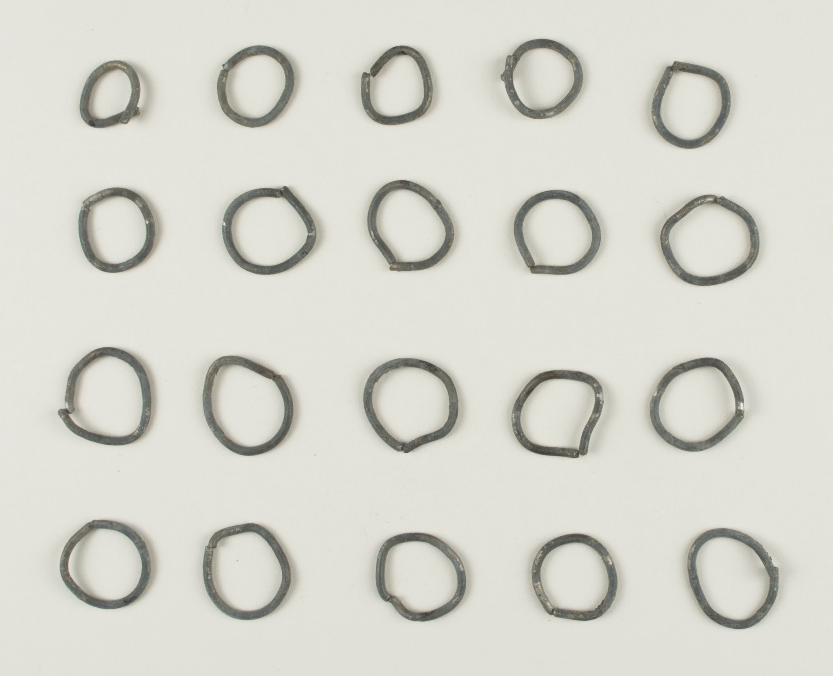 Top view without scale (c) Field Museum of Natural History - CC BY-NC 4.0